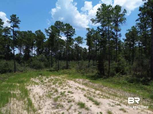 KINGS LANDING RD, SEMINOLE, AL 36574 - Image e860dc3fd5b4a82720d03192f6ef3aa5/655286122
