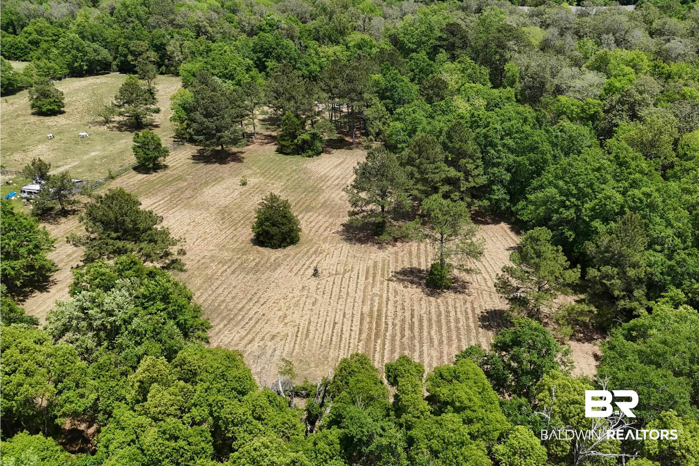 0 Pearson Lane - Photo 4