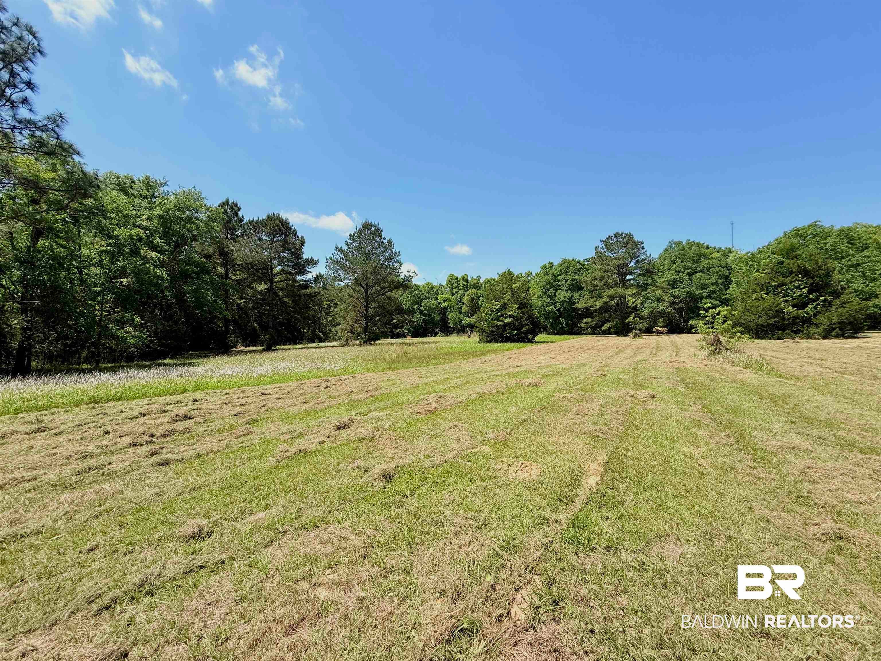 0 Pearson Lane - Photo 3