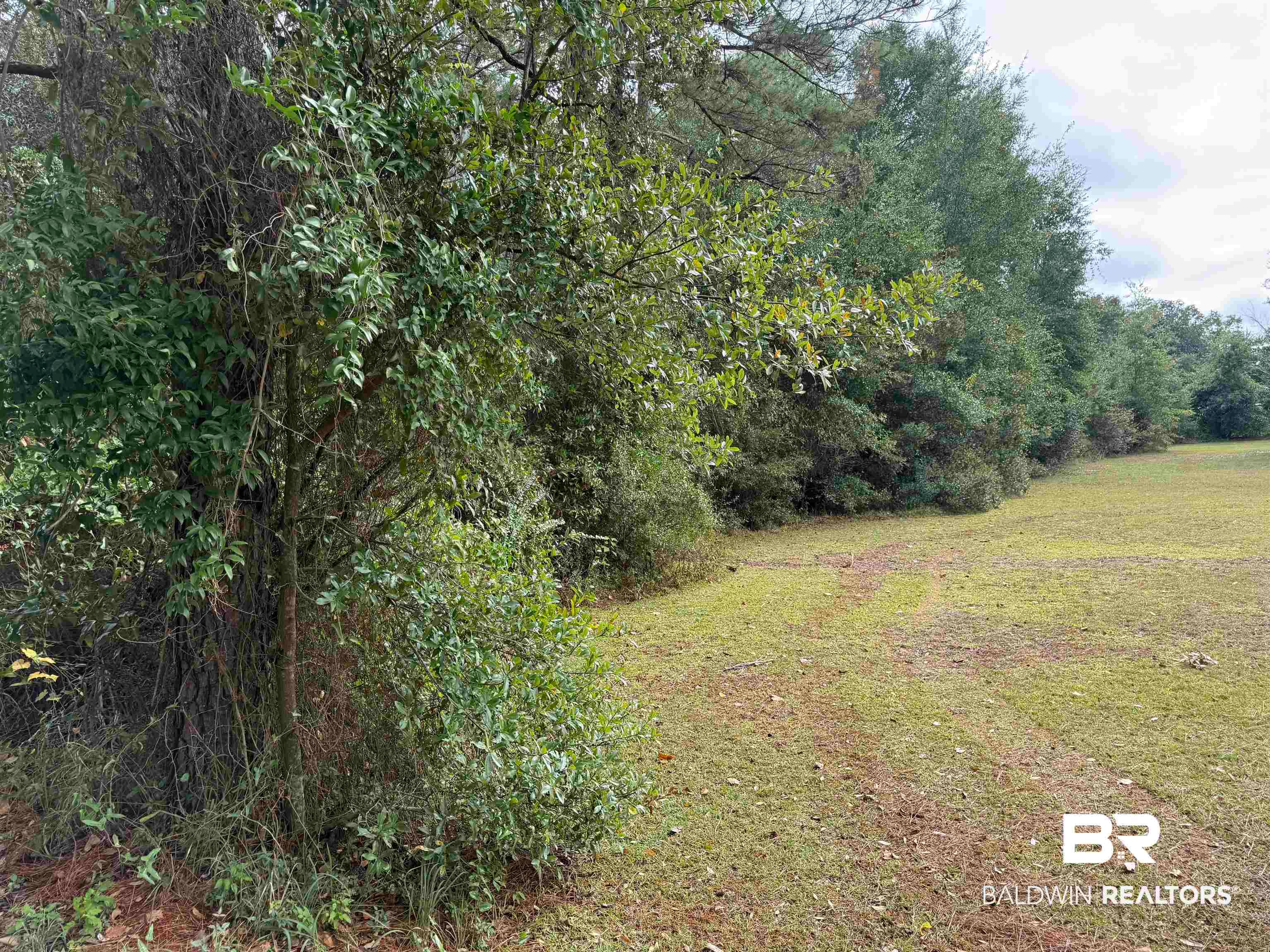 0 Pine Acres Road - Photo 2