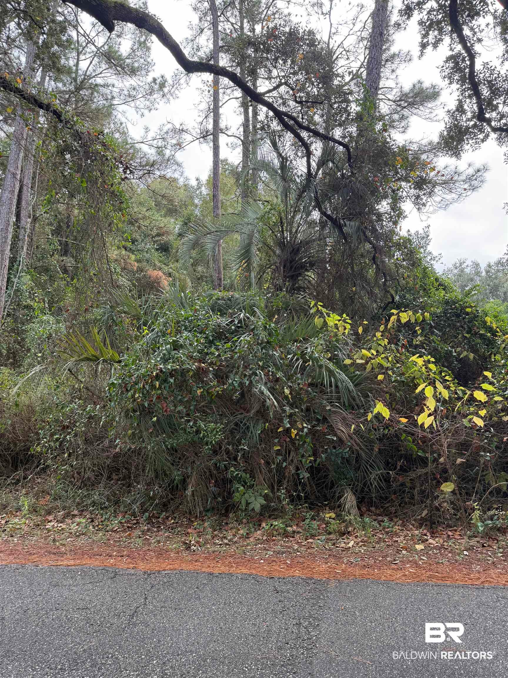 0 Pine Acres Road - Photo 4