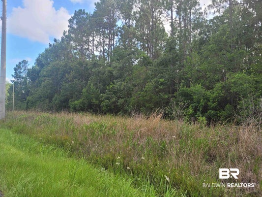 0 BELLINGRATH ROAD, THEODORE, AL 36582 - Image f211aa3bbfb00a56cea555a2b28a4758/3558088971