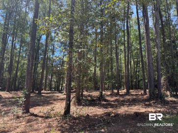 0 Bridgewood Lot 6 Spanish Fort AL 36527