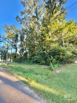 816 E VERBENA AVE, FOLEY, AL 36535 - Image fae2e5fc49e86244a47c08ab74607d5a/3926882945