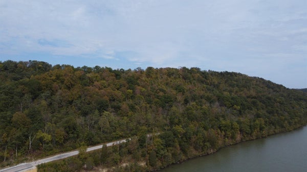 17711 E STATE ROAD 156, FLORENCE, IN 47020 - Image 2b0cef05937484dee1ab0bab7f83a8b6/831329007