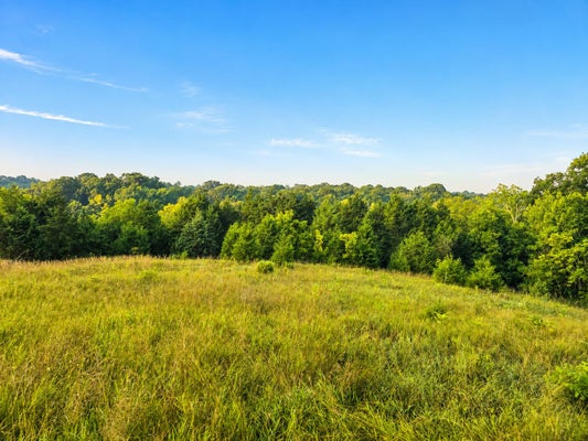 BURSOT RD, VEVAY, IN 47043 - Image bf2f9ff0dfd456ae1ec36ba195391d09/4138027520