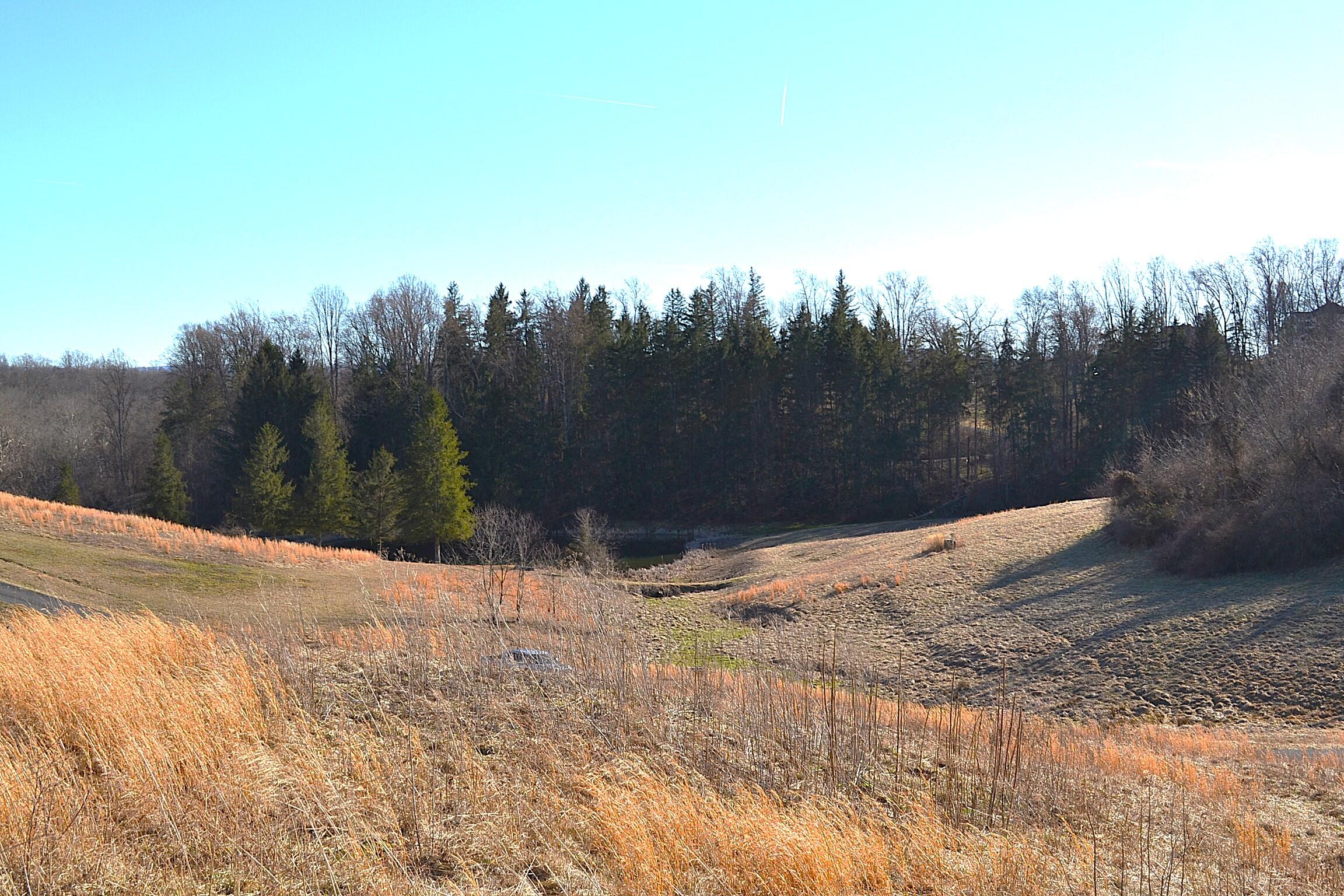 Lot 9 Whisper Estates, Lewisburg, West Virginia image 10