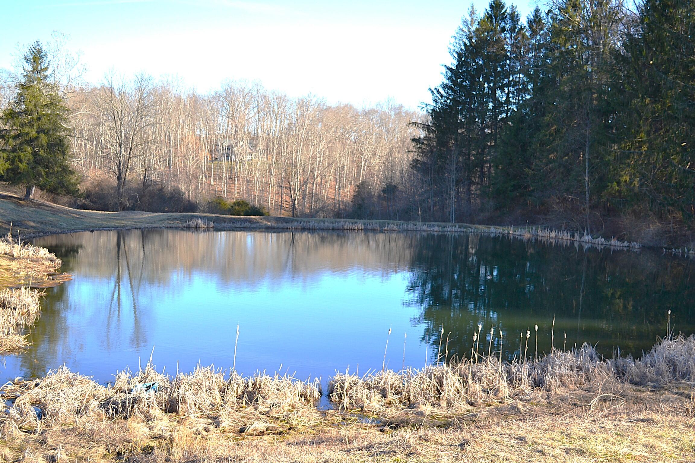 Lot 9 Whisper Estates, Lewisburg, West Virginia image 27