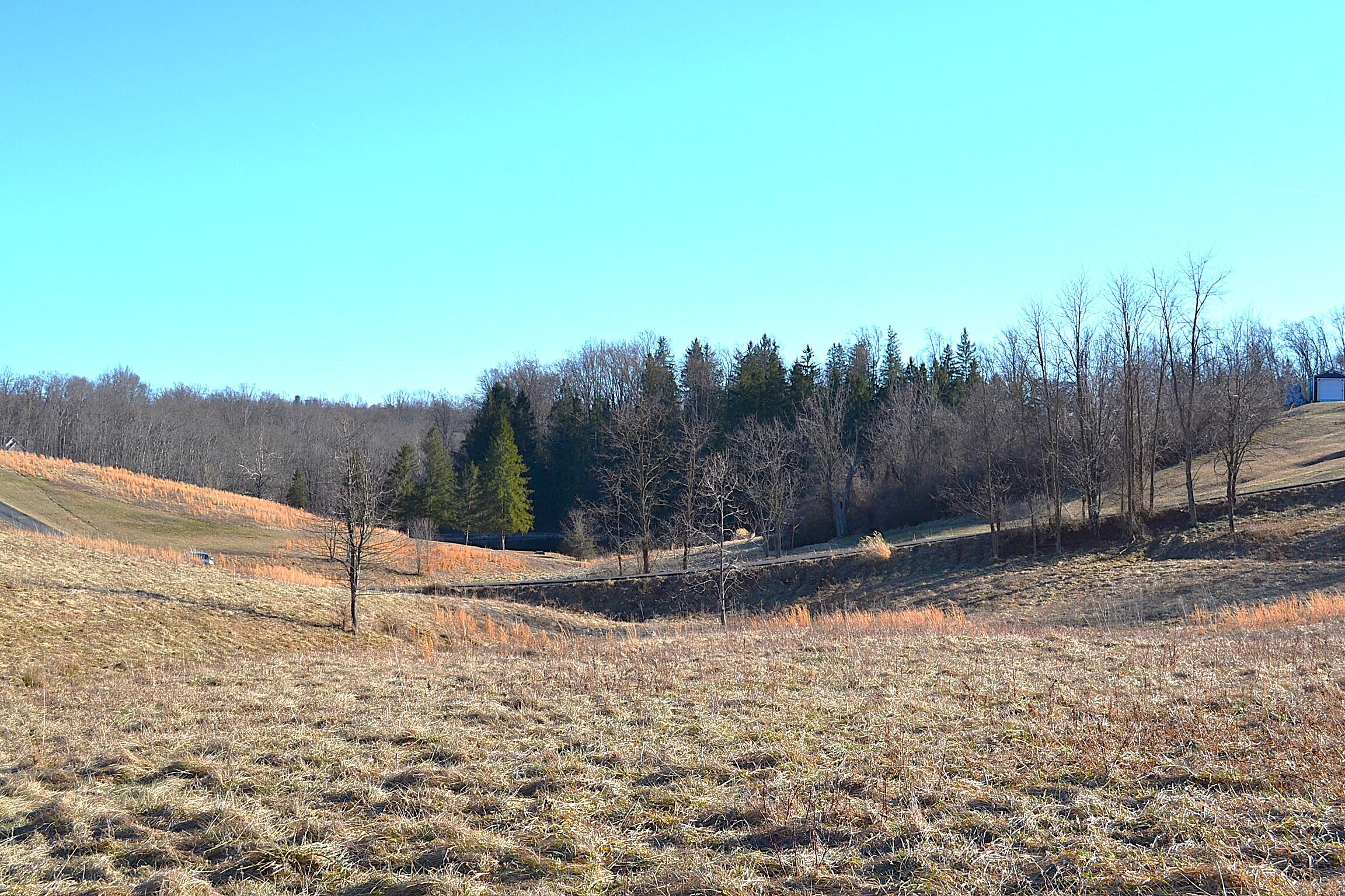 Lot 9 Whisper Estates, Lewisburg, West Virginia image 15