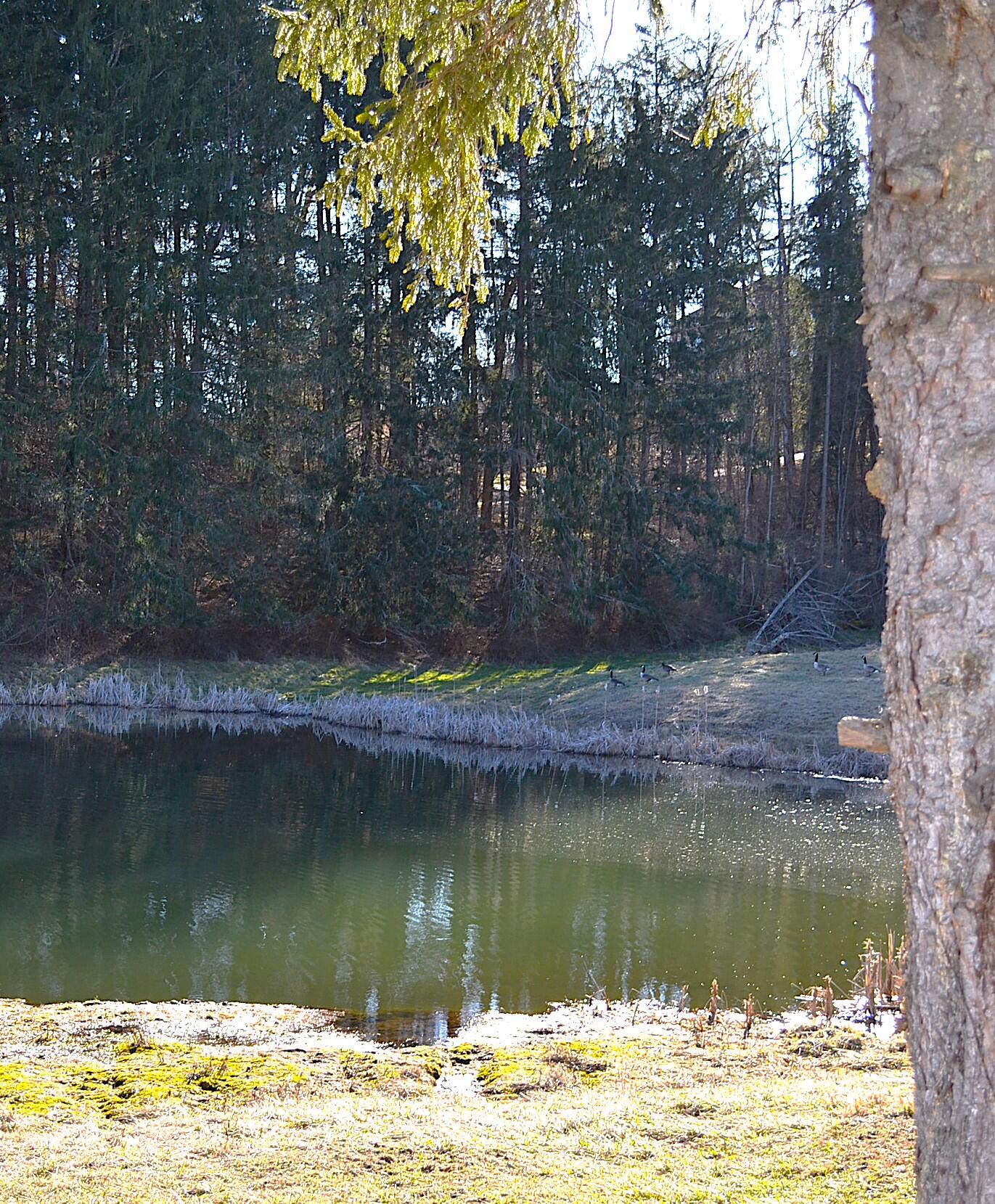 Lot 9 Whisper Estates, Lewisburg, West Virginia image 28