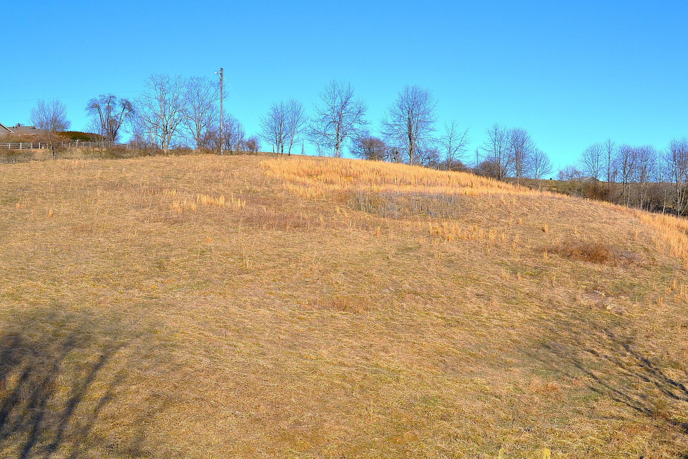 Lot 9 Whisper Estates, Lewisburg, West Virginia image 26