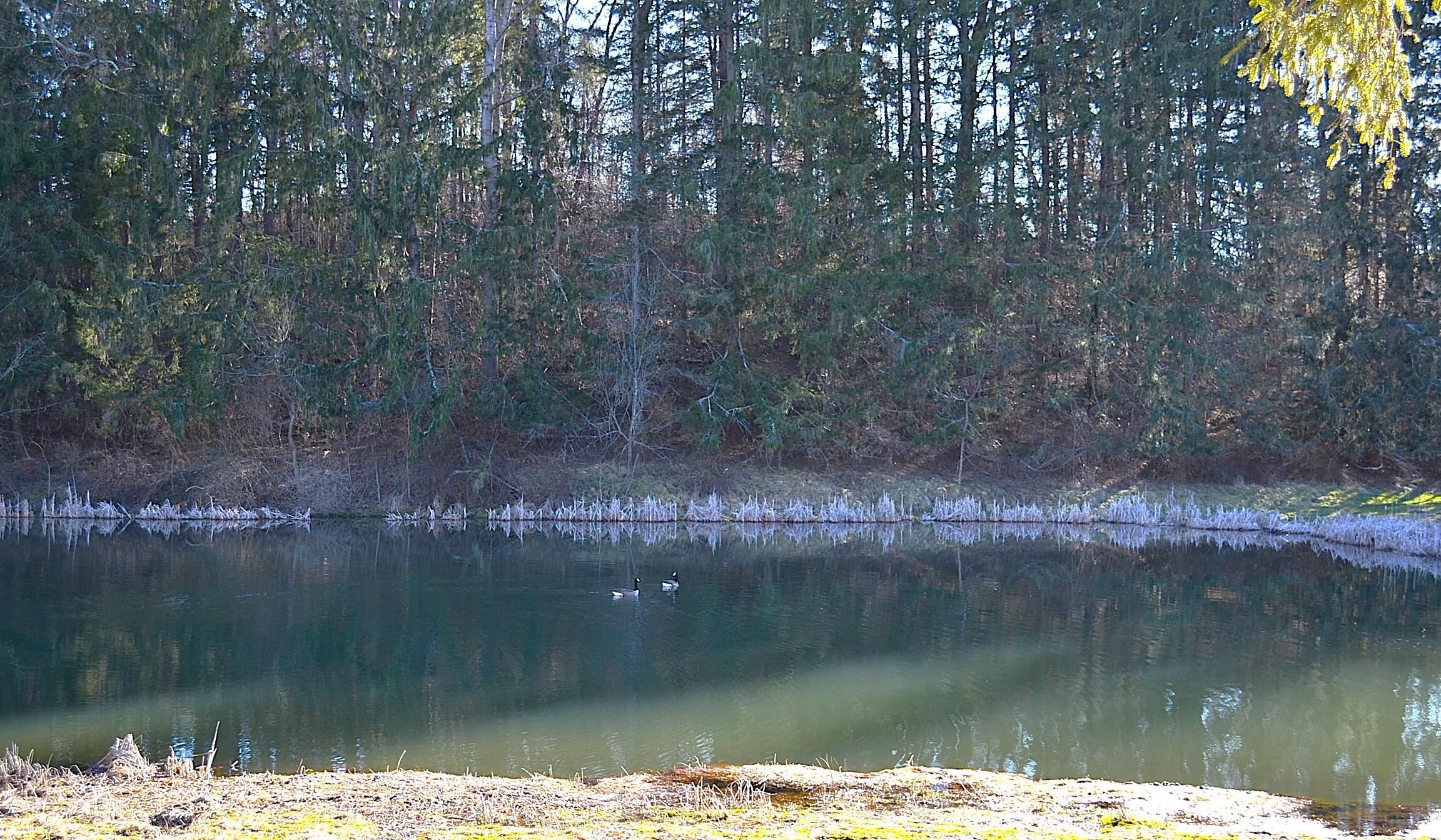 Lot 9 Whisper Estates, Lewisburg, West Virginia image 29