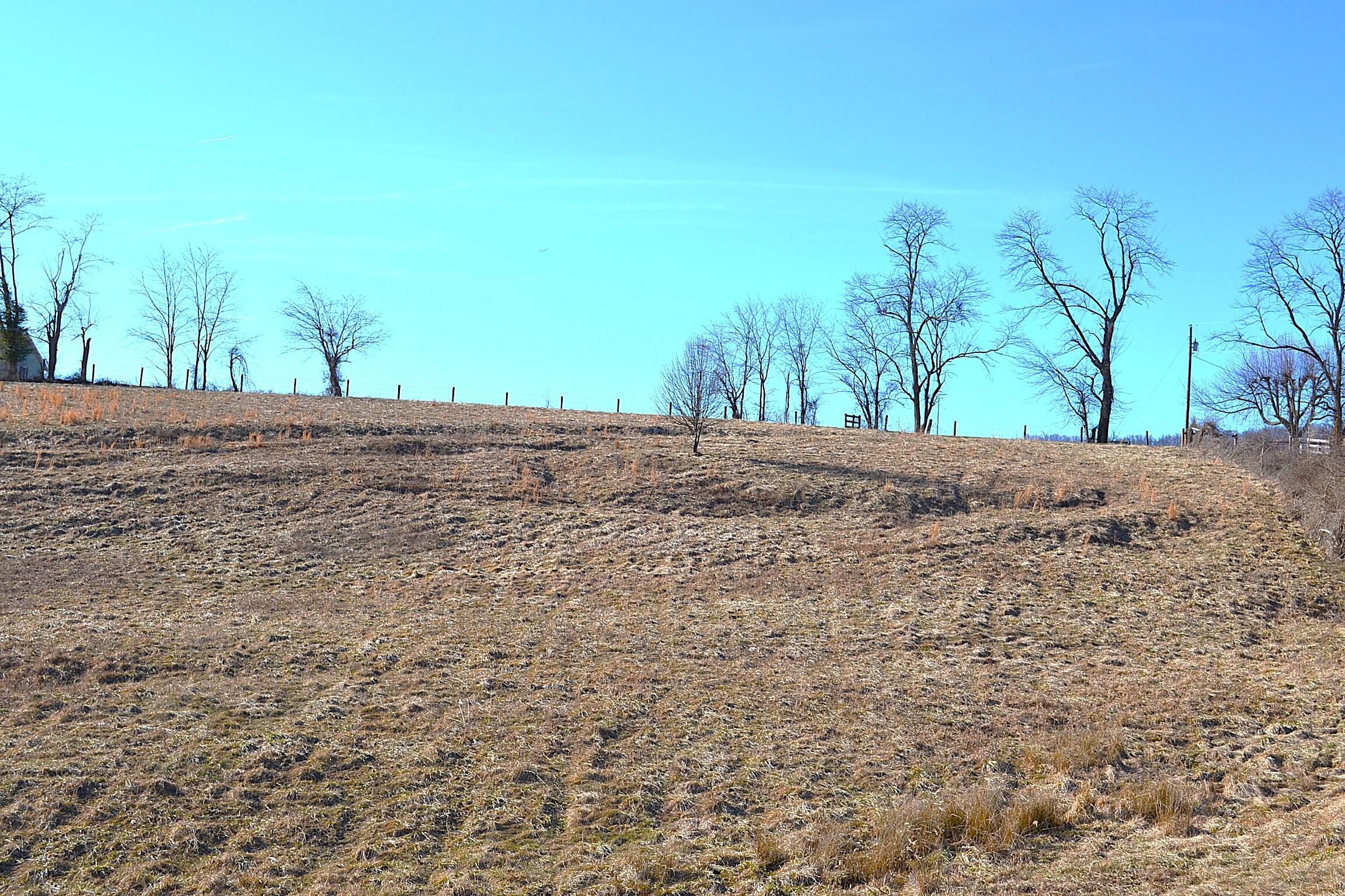Lot 9 Whisper Estates, Lewisburg, West Virginia image 7