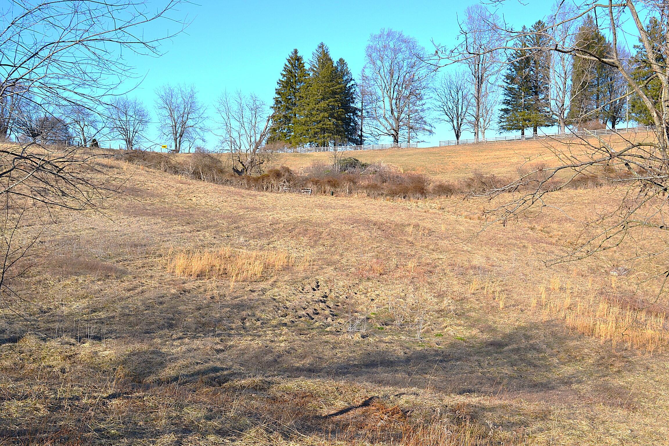 Lot 9 Whisper Estates, Lewisburg, West Virginia image 25