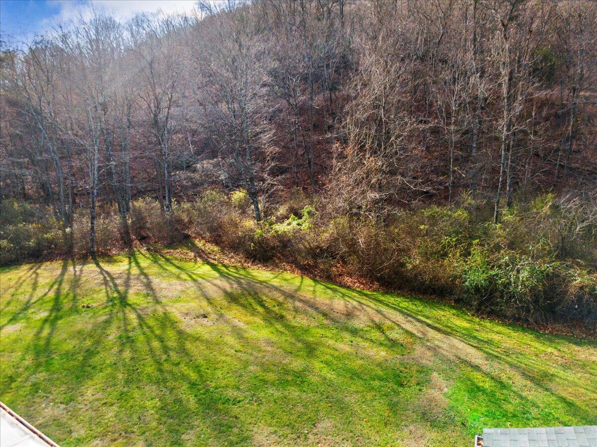 178 Redemption Dr, White Sulphur Springs, West Virginia image 40