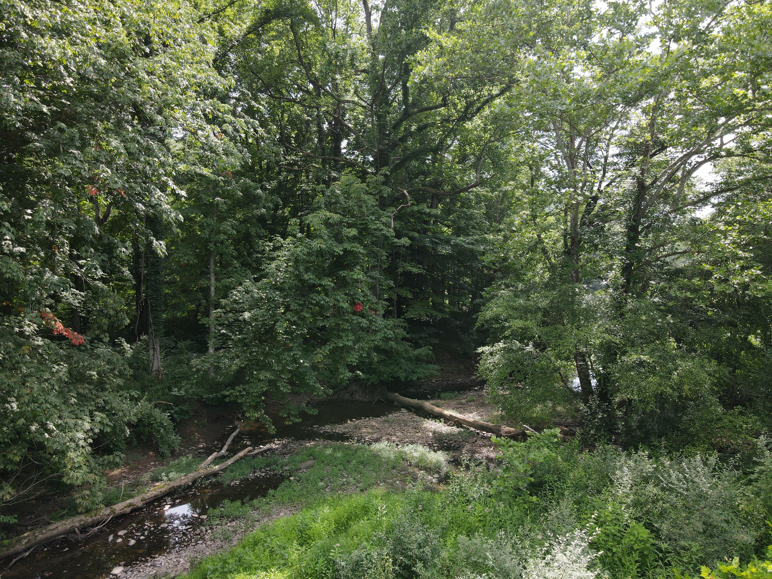 Rorer Road, Renick, West Virginia image 9