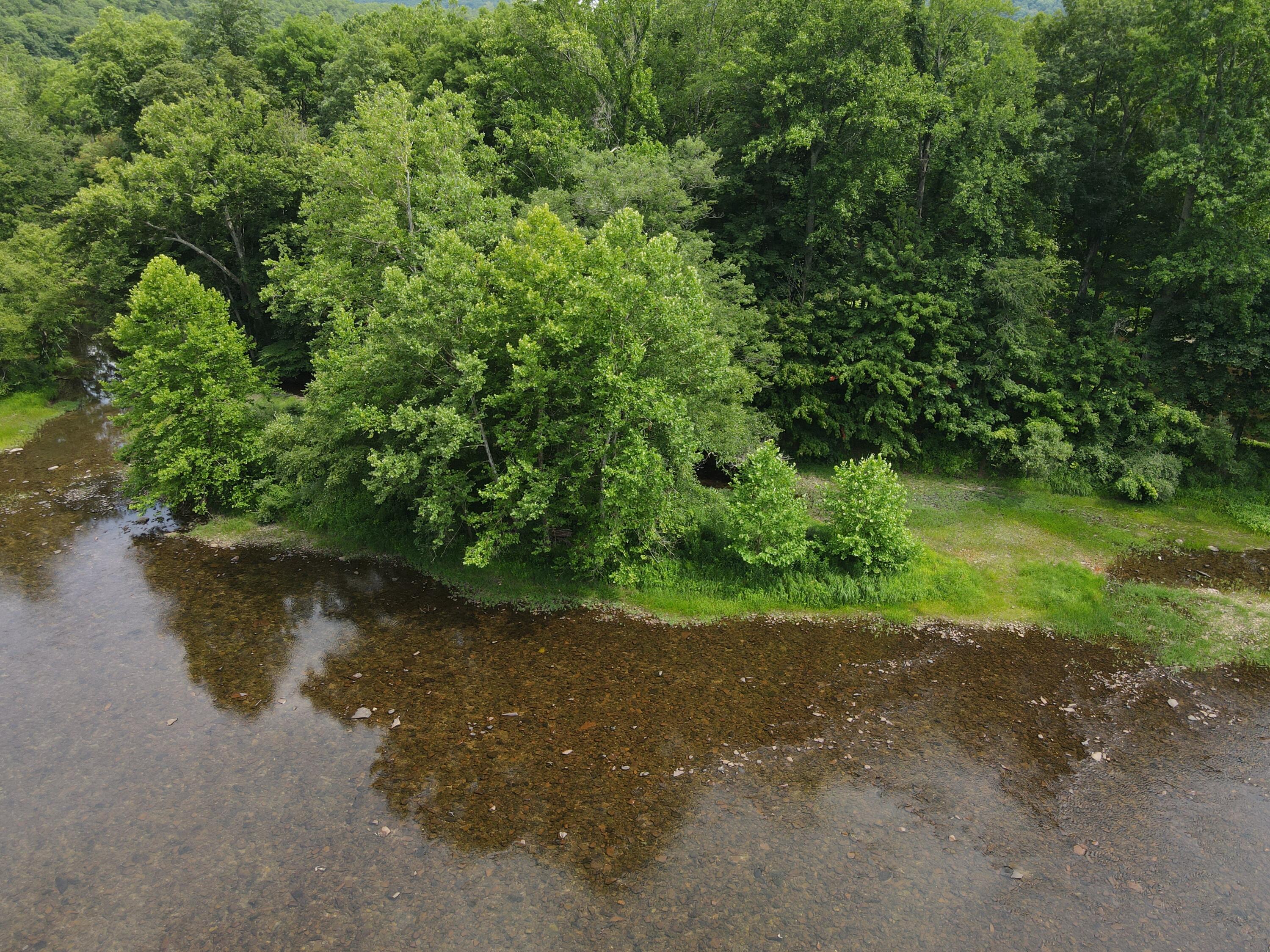 Rorer Road, Renick, West Virginia image 4