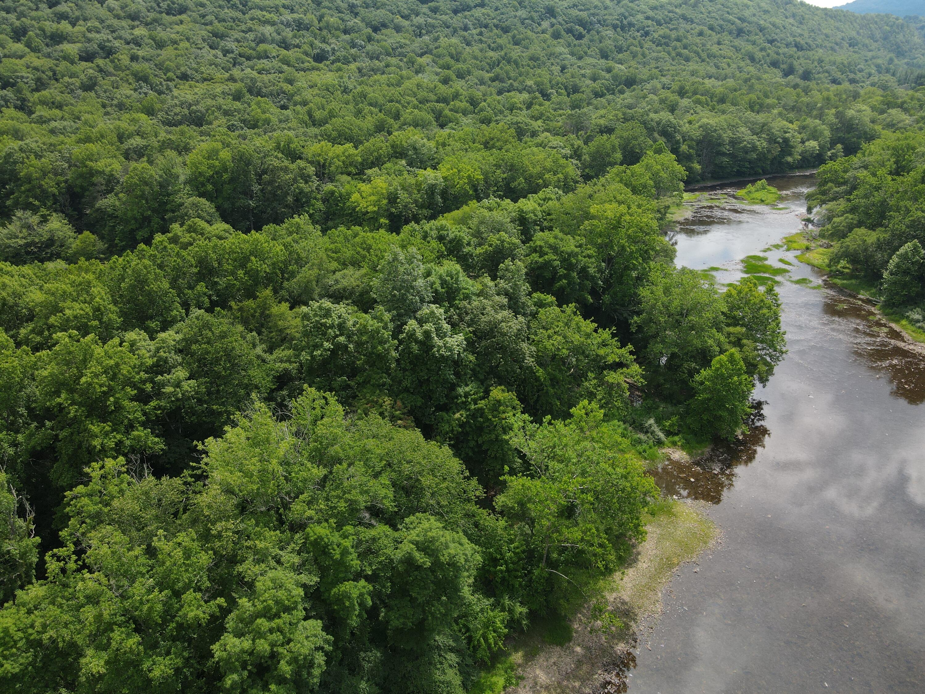 Rorer Road, Renick, West Virginia image 5