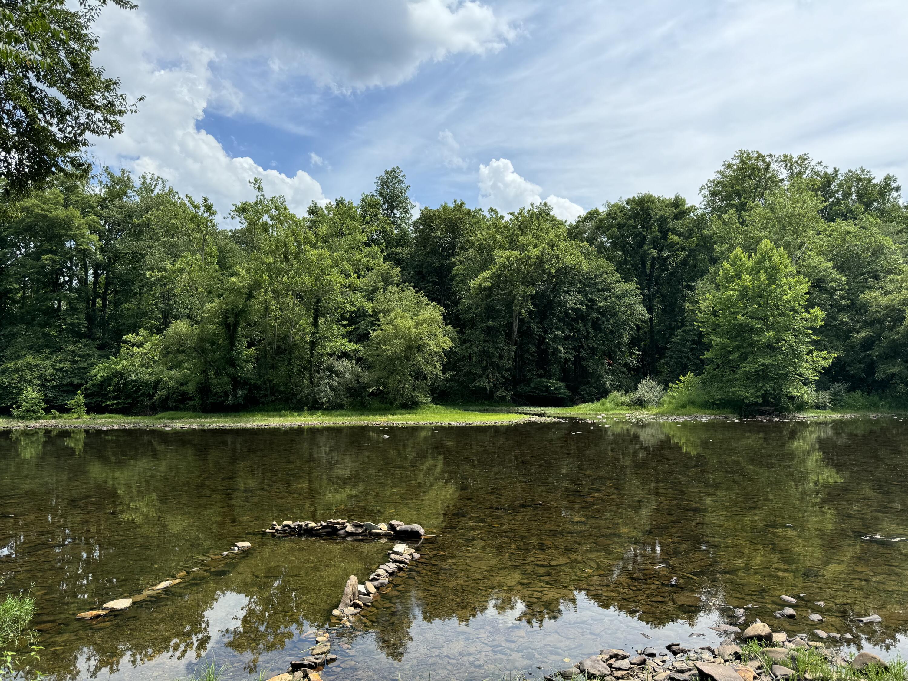 Rorer Road, Renick, West Virginia image 13