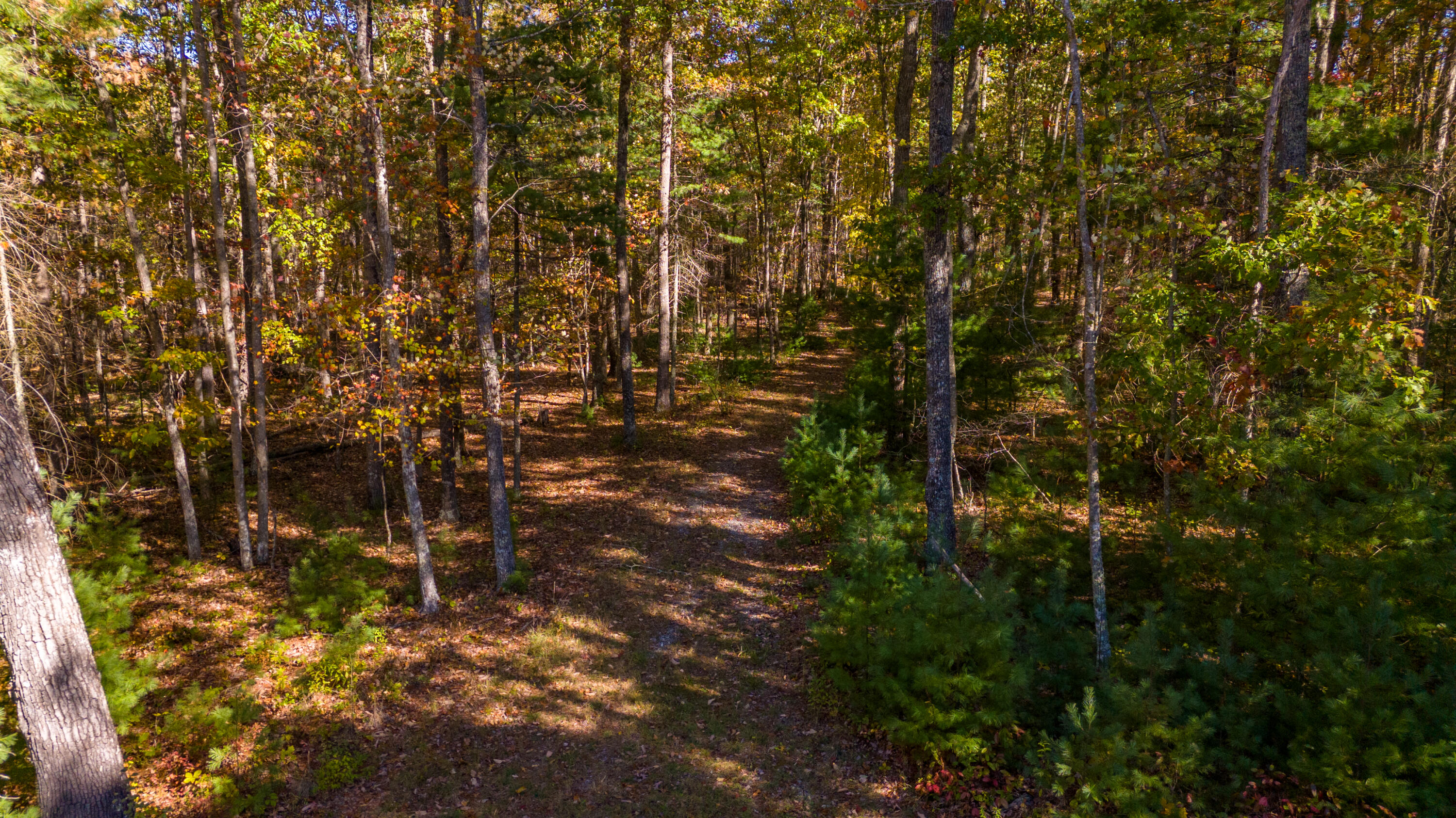 Muddy Creek Mountain Rd, Lewisburg, West Virginia image 8