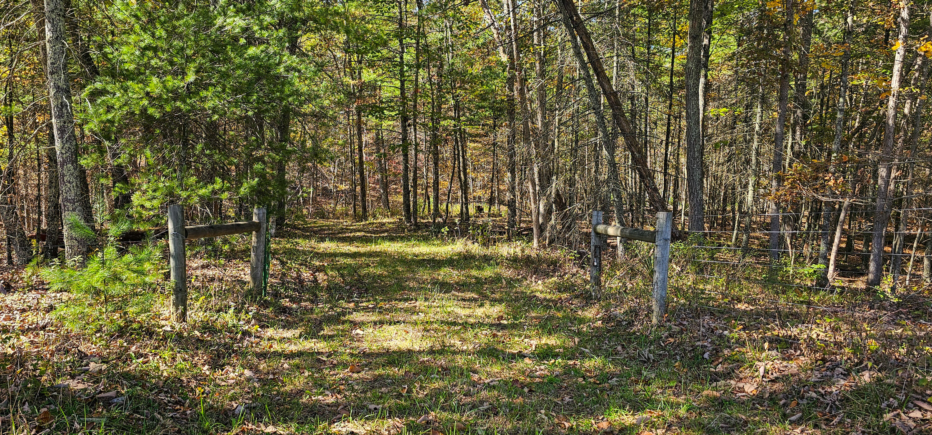 Muddy Creek Mountain Rd, Lewisburg, West Virginia image 6