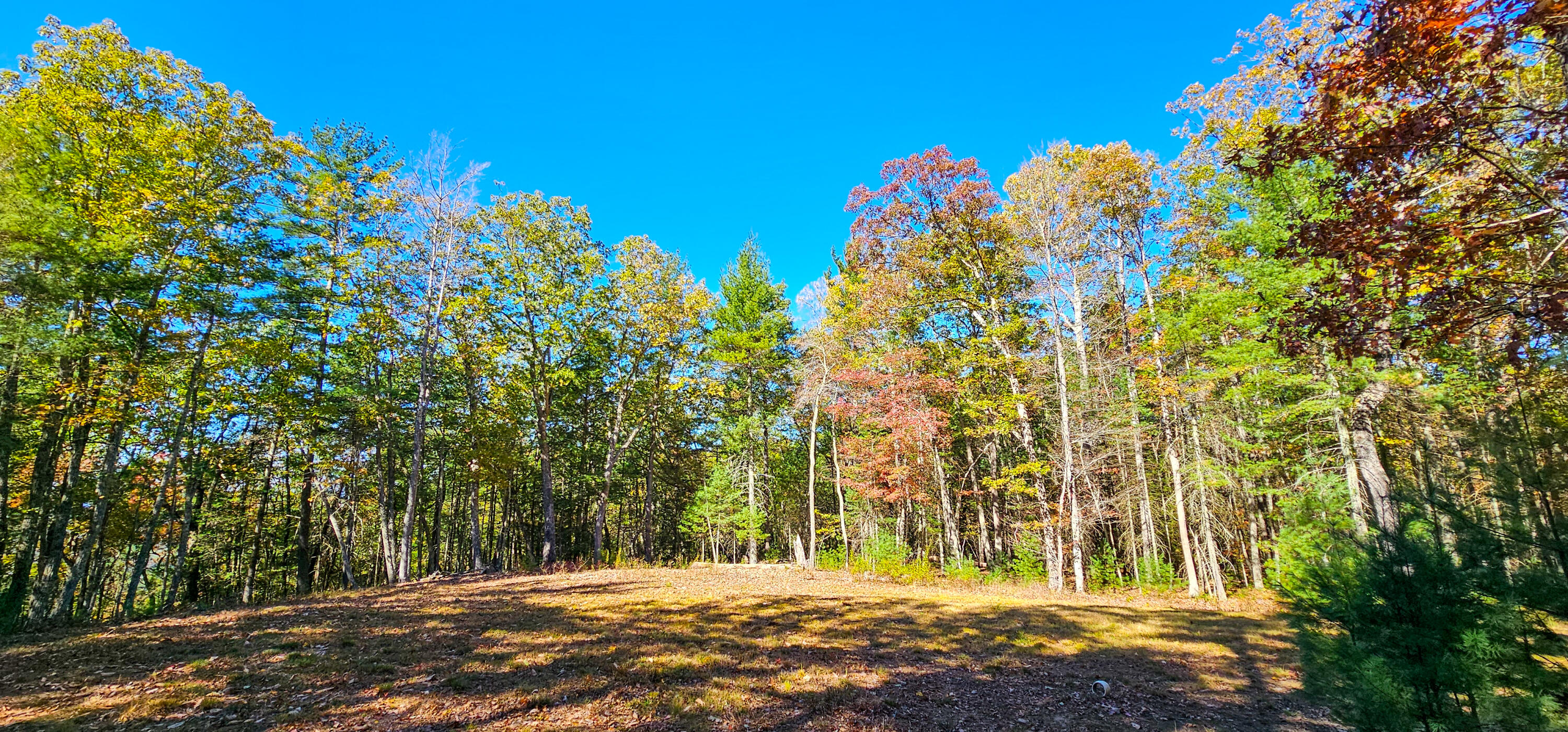 Muddy Creek Mountain Rd, Lewisburg, West Virginia image 14