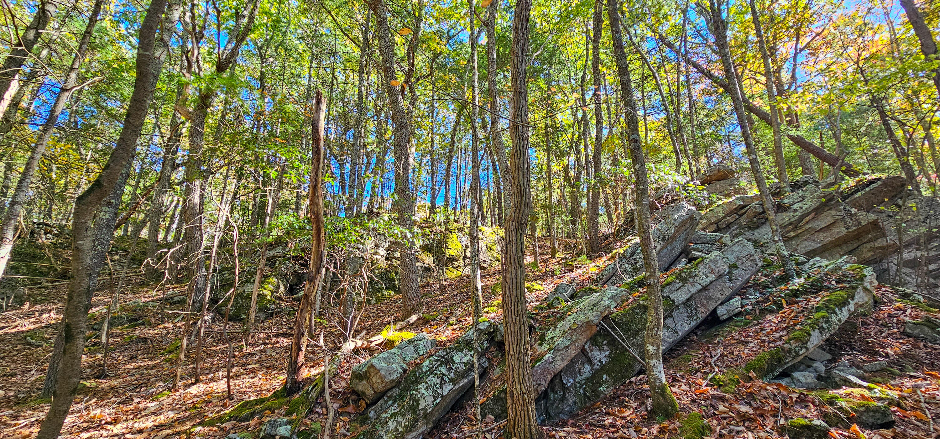 Muddy Creek Mountain Rd, Lewisburg, West Virginia image 19