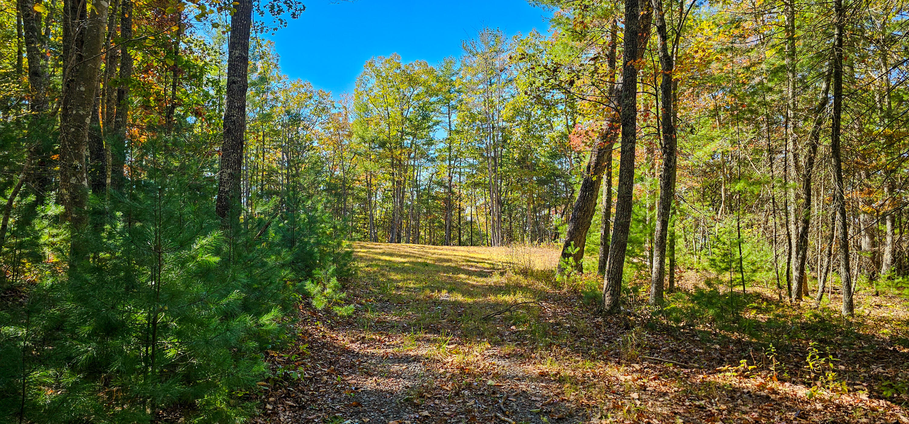 Muddy Creek Mountain Rd, Lewisburg, West Virginia image 9