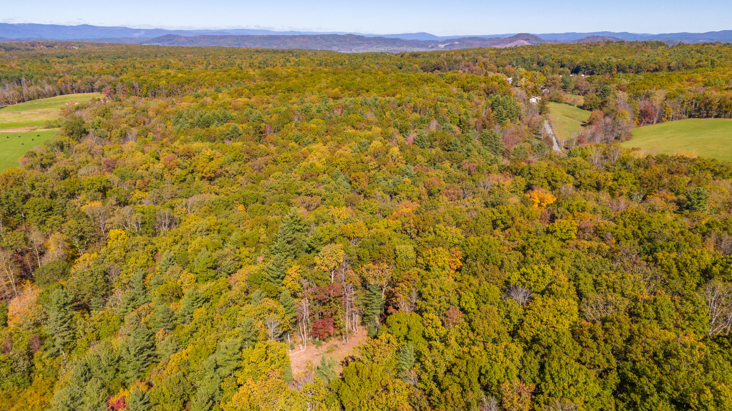 Muddy Creek Mountain Rd, Lewisburg, West Virginia image 27