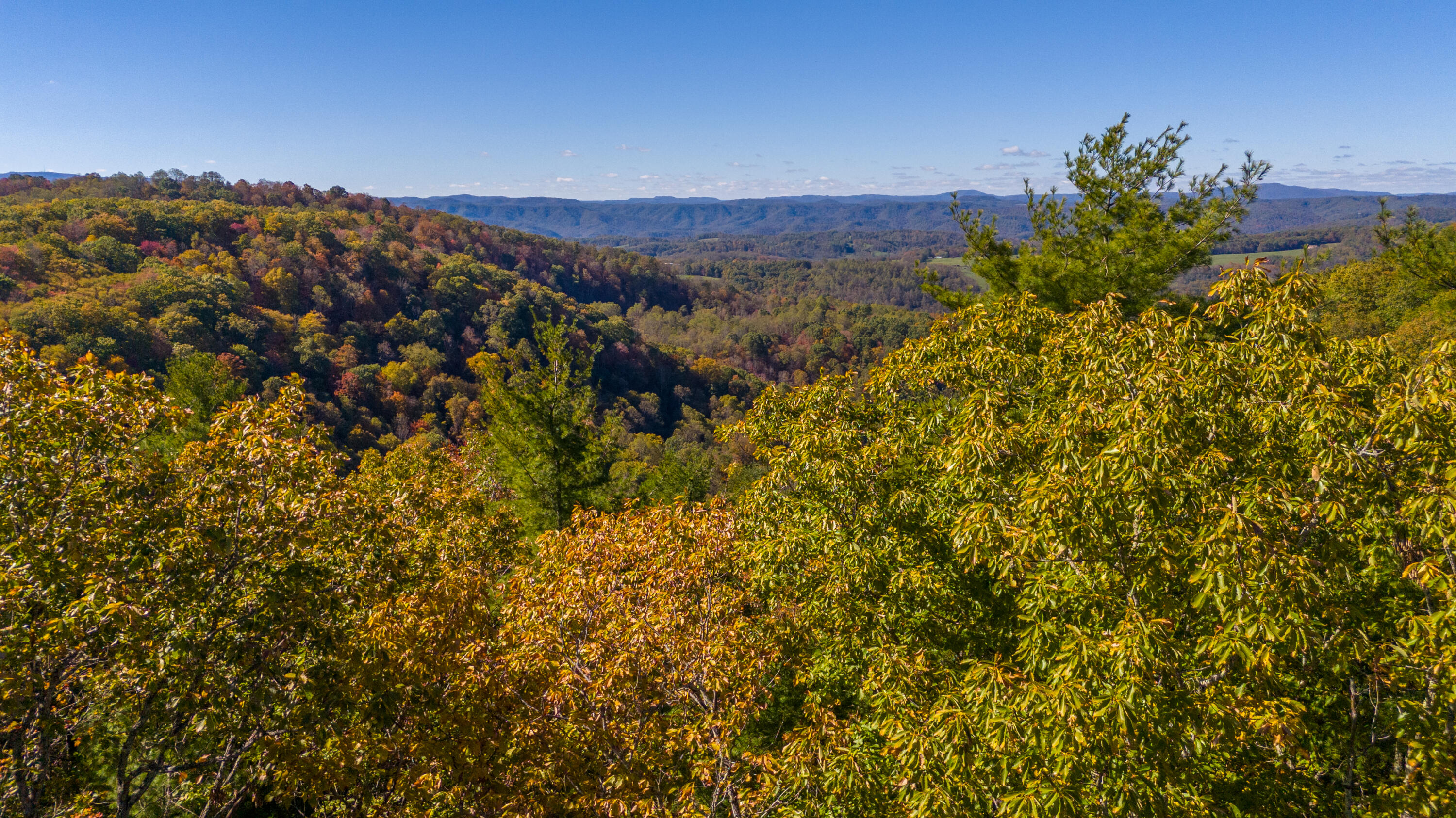 Muddy Creek Mountain Rd, Lewisburg, West Virginia image 22