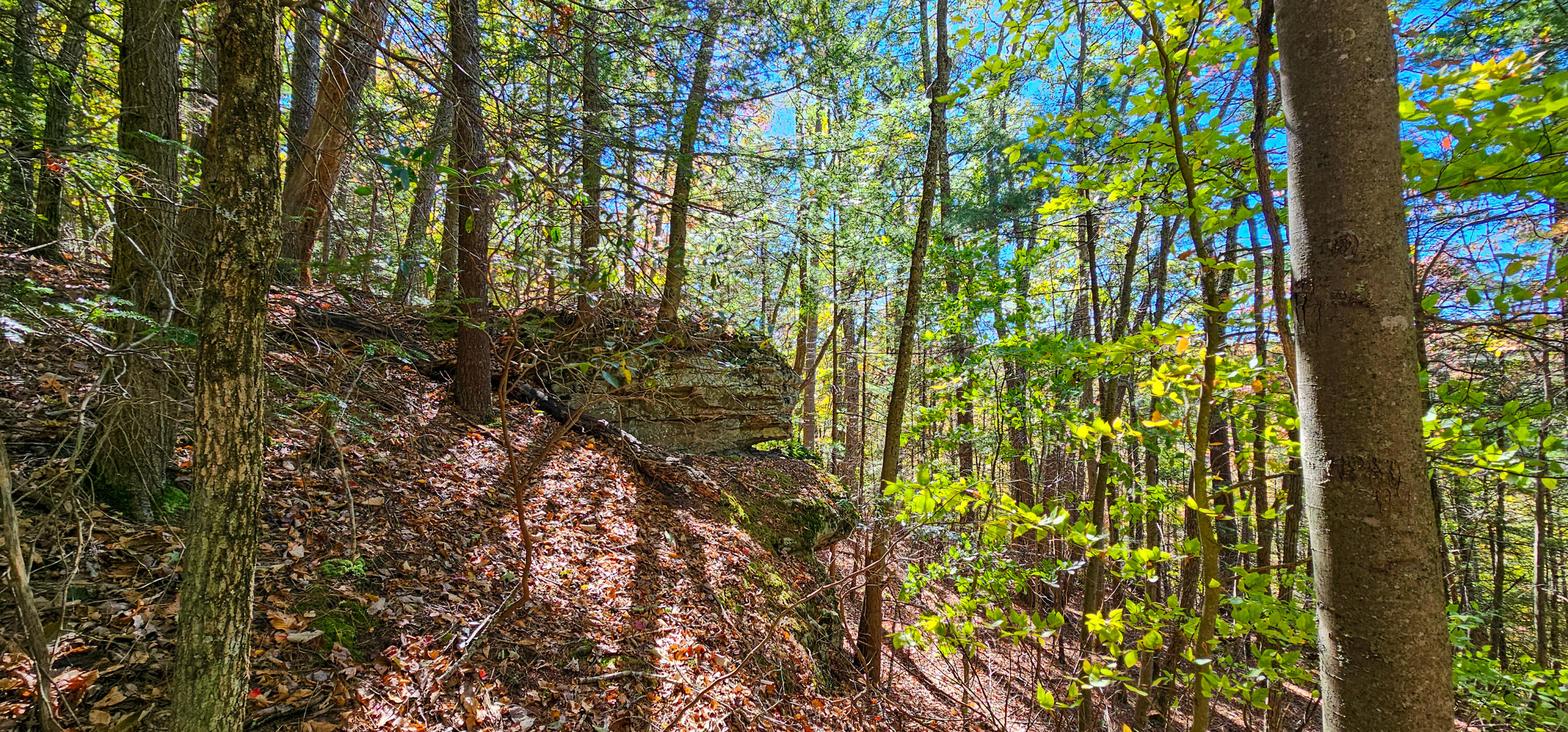 Muddy Creek Mountain Rd, Lewisburg, West Virginia image 17