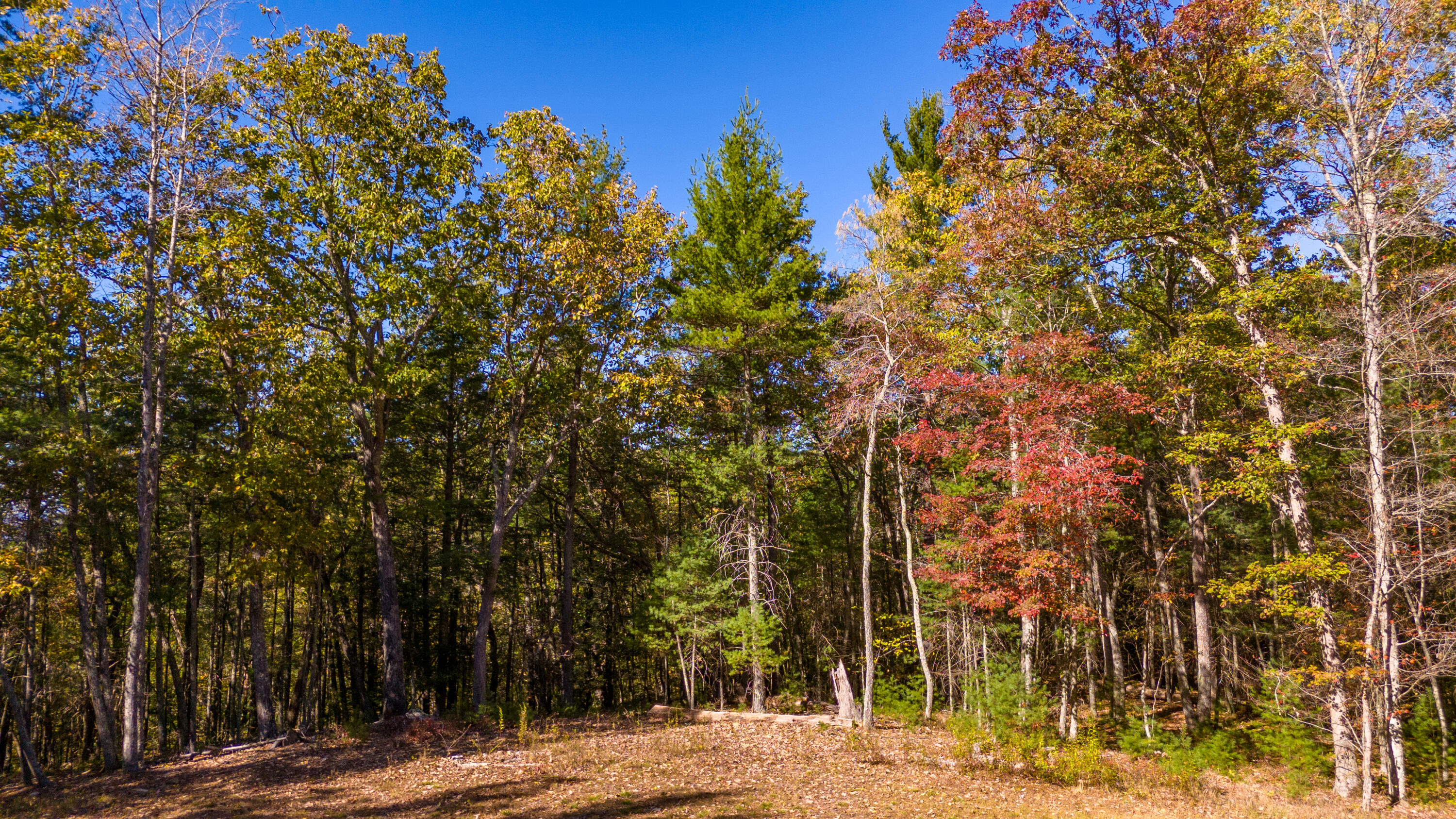 Muddy Creek Mountain Rd, Lewisburg, West Virginia image 12