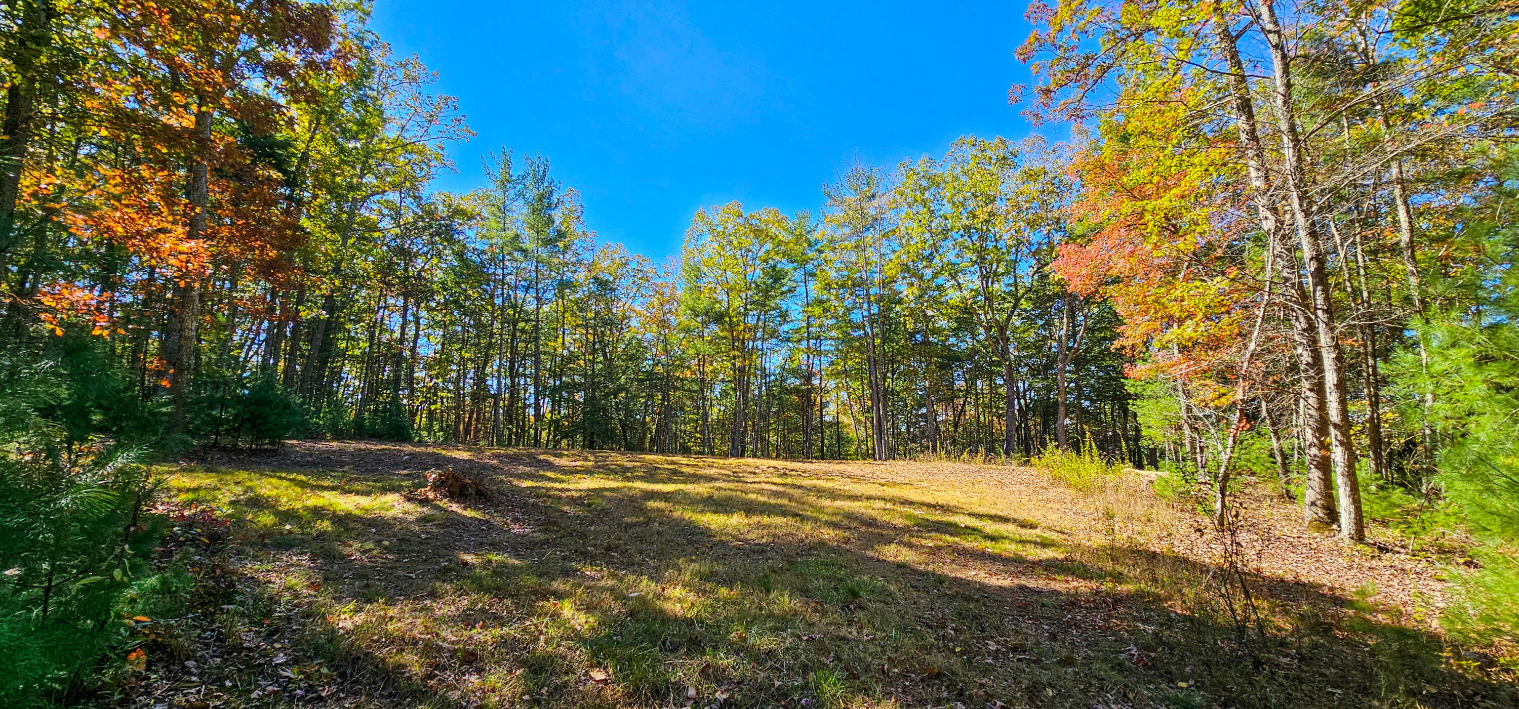 Muddy Creek Mountain Rd, Lewisburg, West Virginia image 2