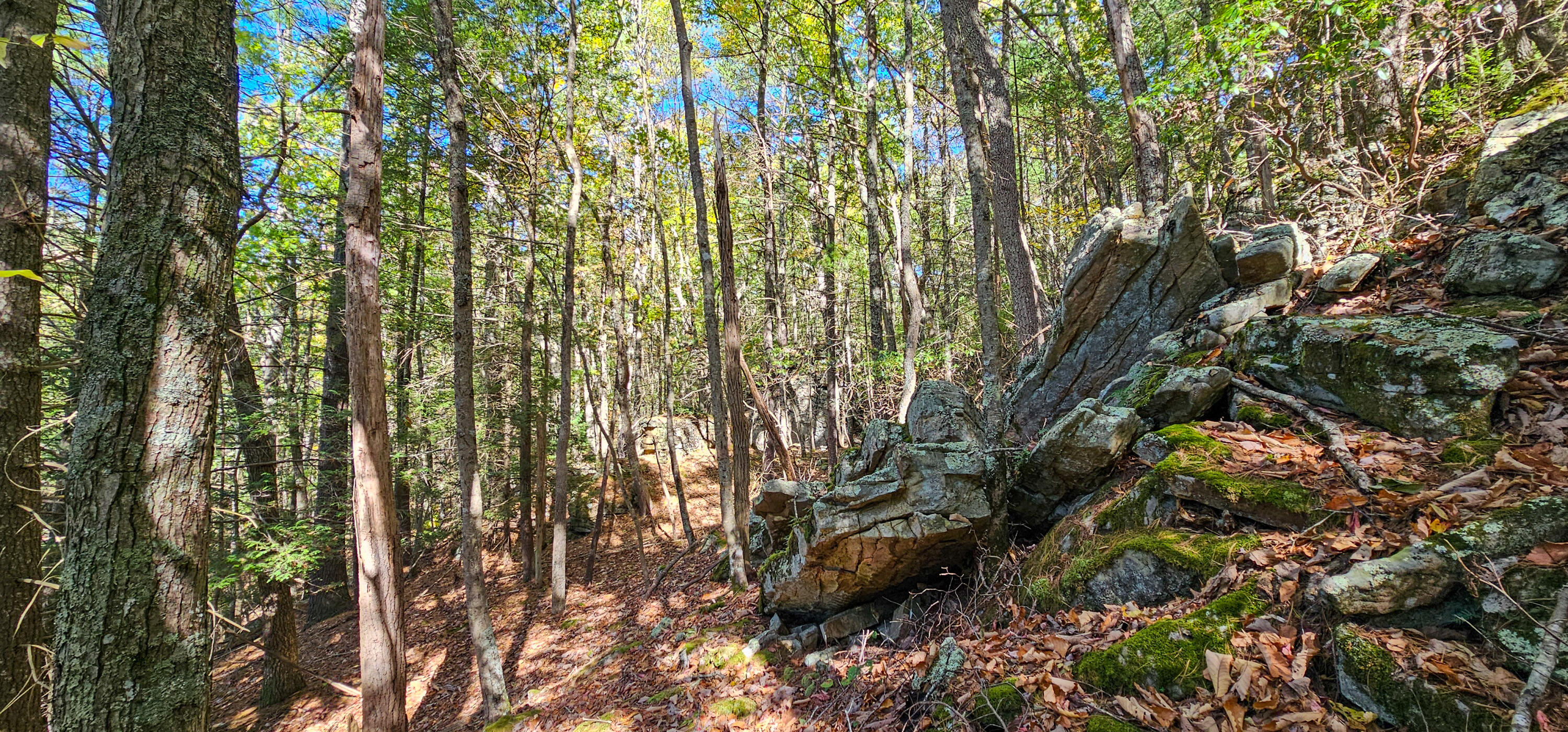 Muddy Creek Mountain Rd, Lewisburg, West Virginia image 18