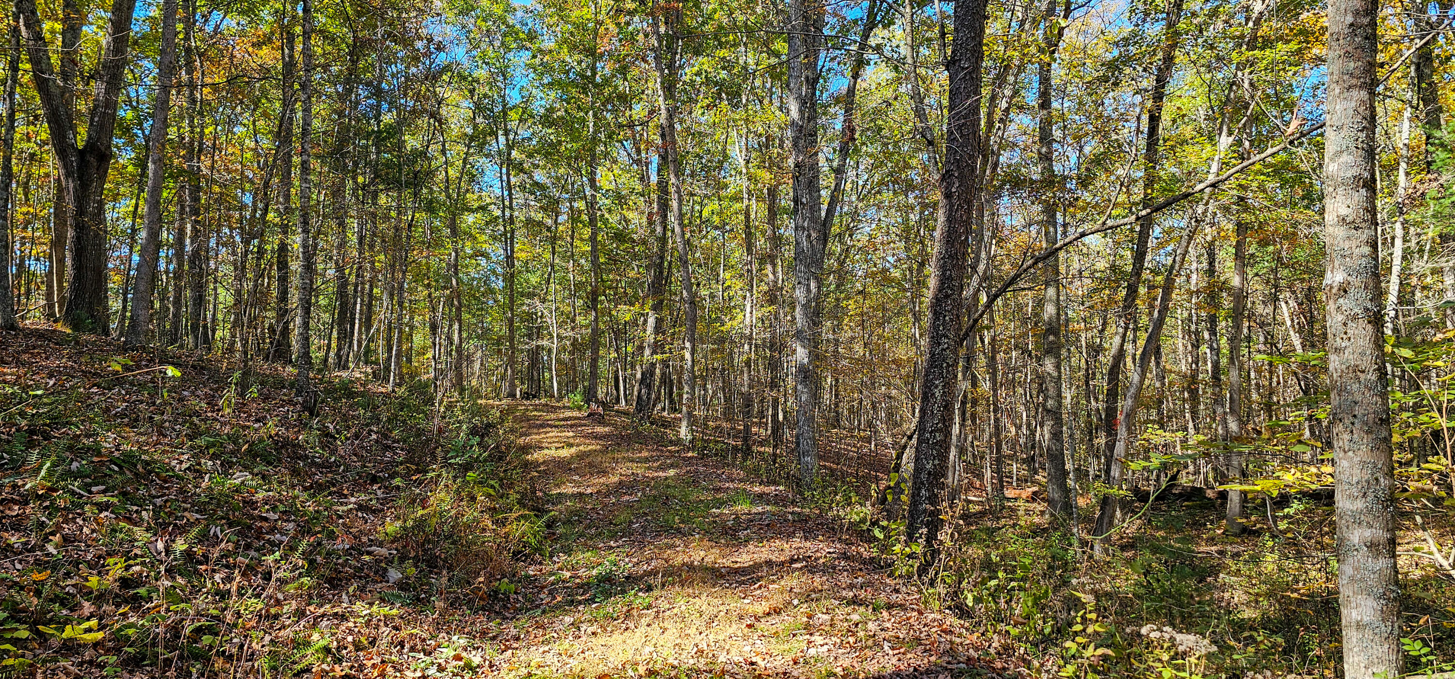 Muddy Creek Mountain Rd, Lewisburg, West Virginia image 7