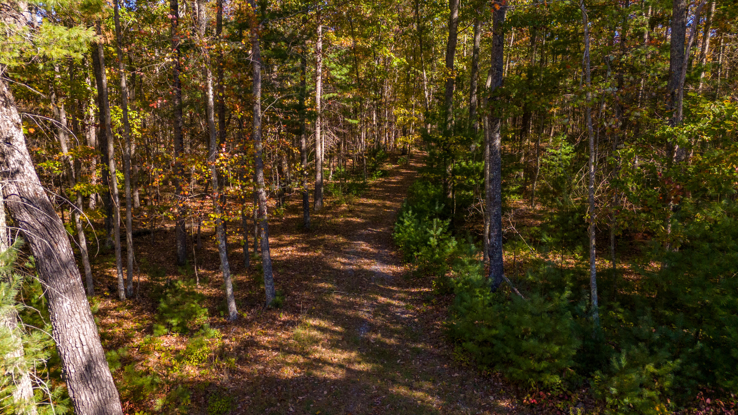 Muddy Creek Mountain Rd, Lewisburg, West Virginia image 10