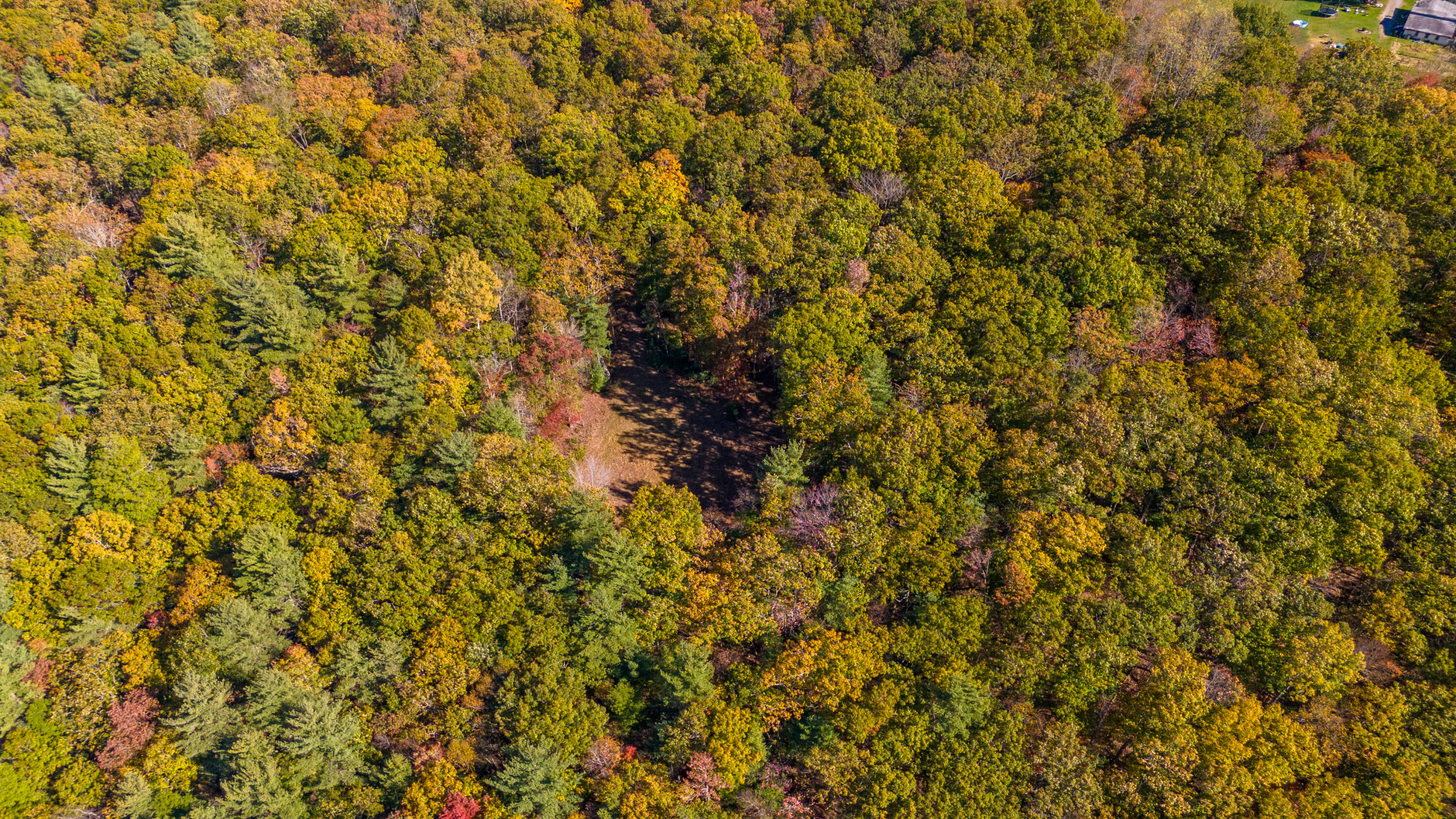 Muddy Creek Mountain Rd, Lewisburg, West Virginia image 35