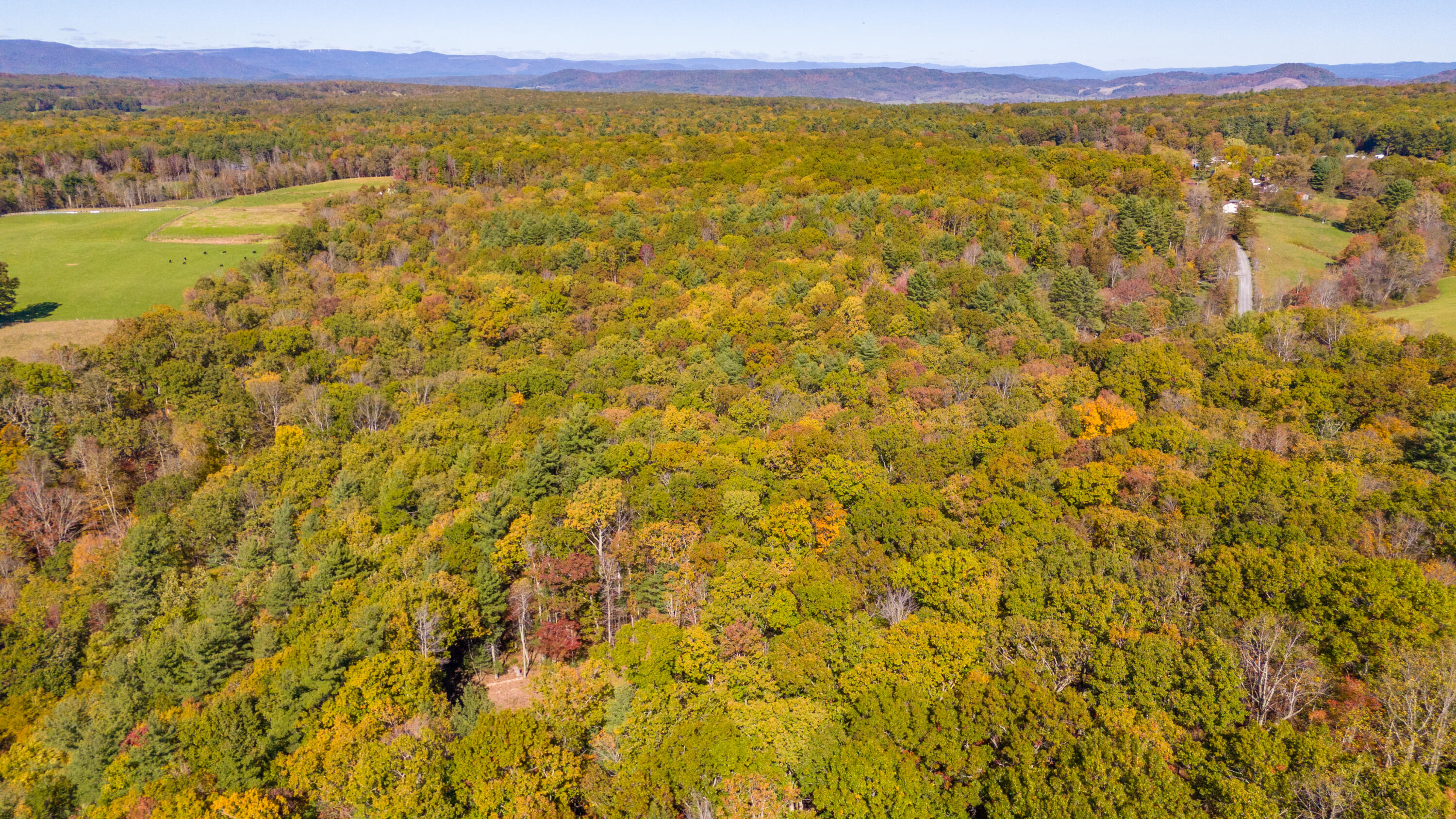 Muddy Creek Mountain Rd, Lewisburg, West Virginia image 28