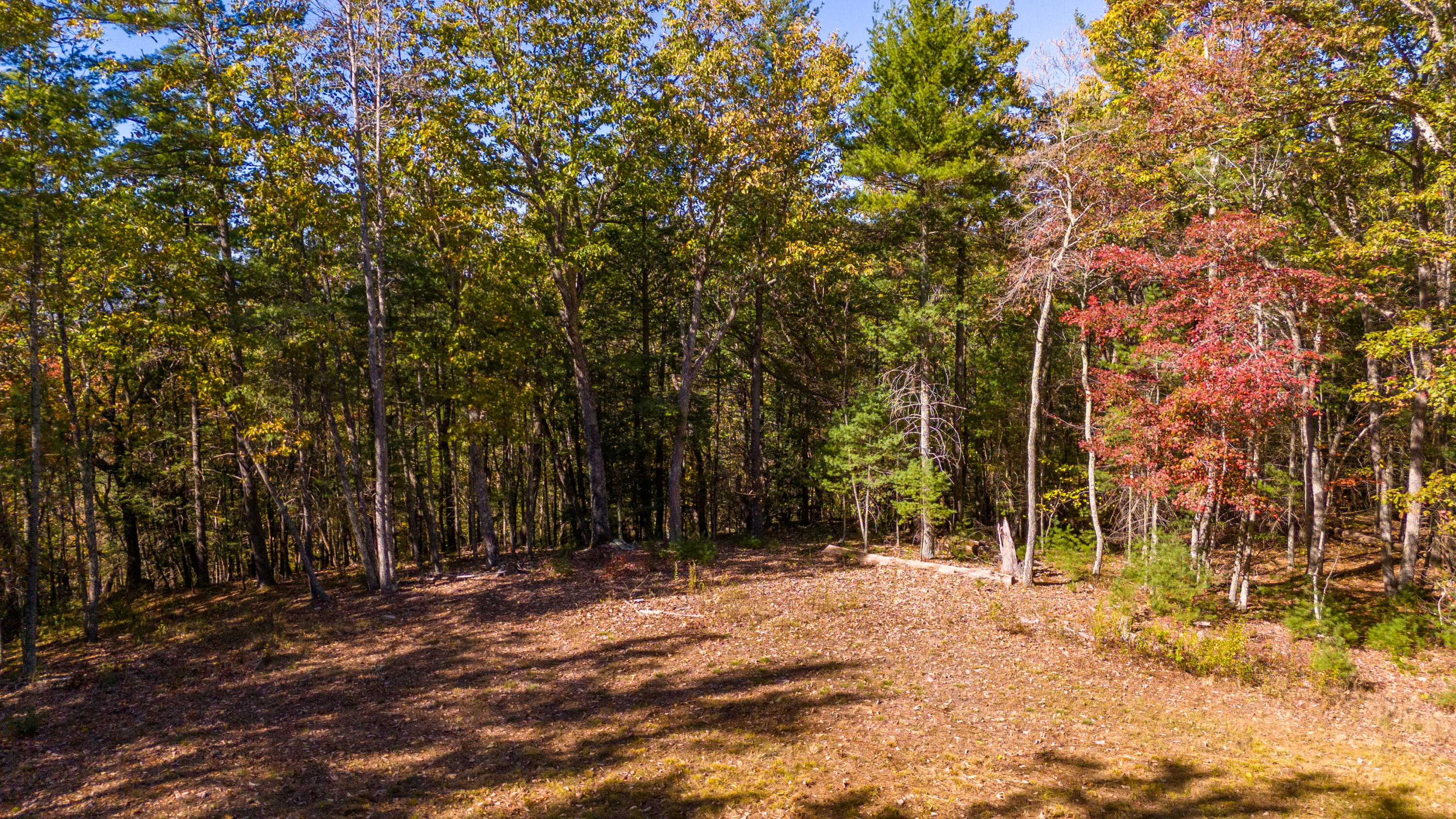 Muddy Creek Mountain Rd, Lewisburg, West Virginia image 13