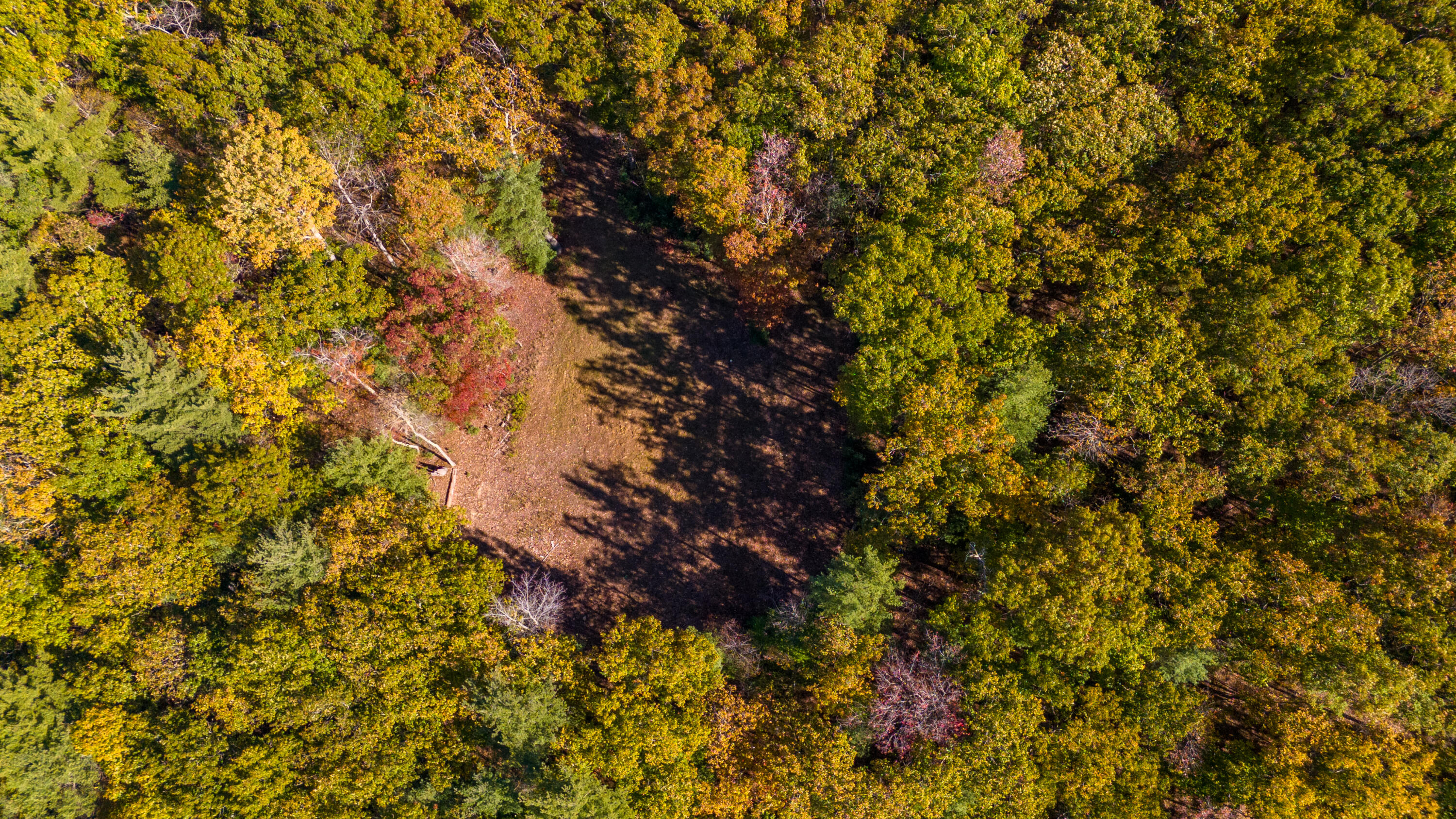 Muddy Creek Mountain Rd, Lewisburg, West Virginia image 36