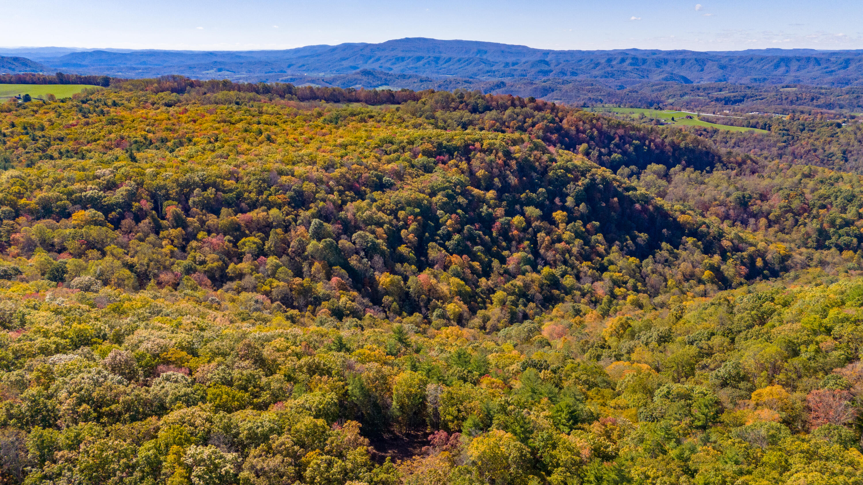 Muddy Creek Mountain Rd, Lewisburg, West Virginia image 30