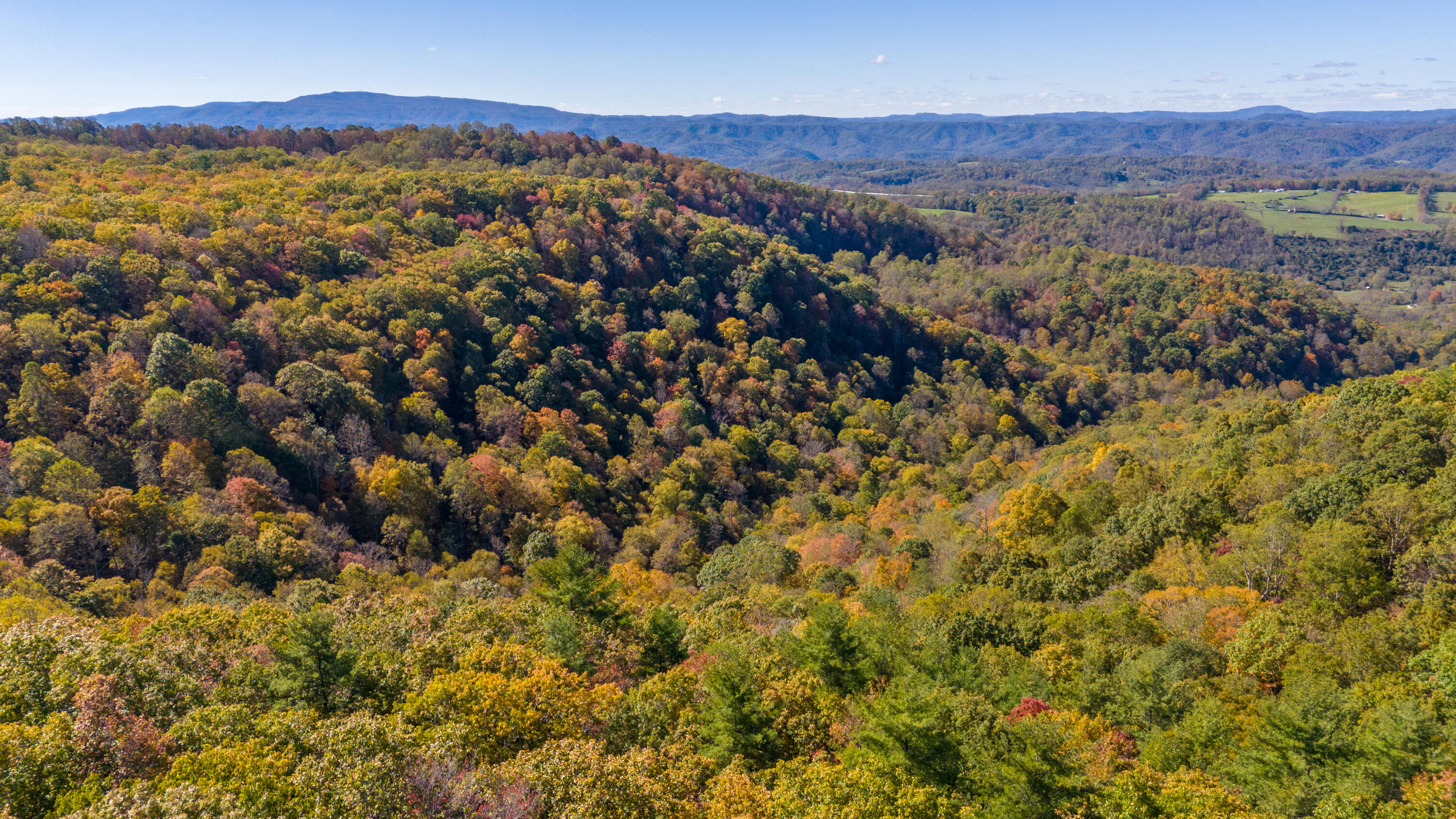 Muddy Creek Mountain Rd, Lewisburg, West Virginia image 24