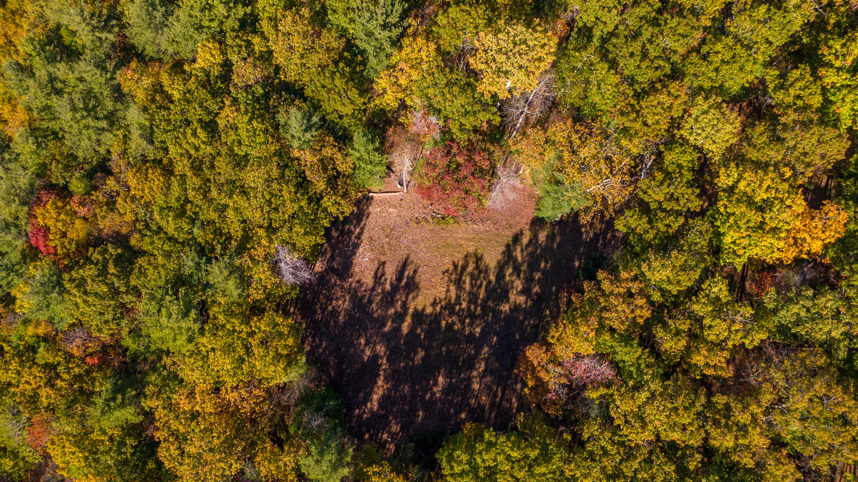 Muddy Creek Mountain Rd, Lewisburg, West Virginia image 3