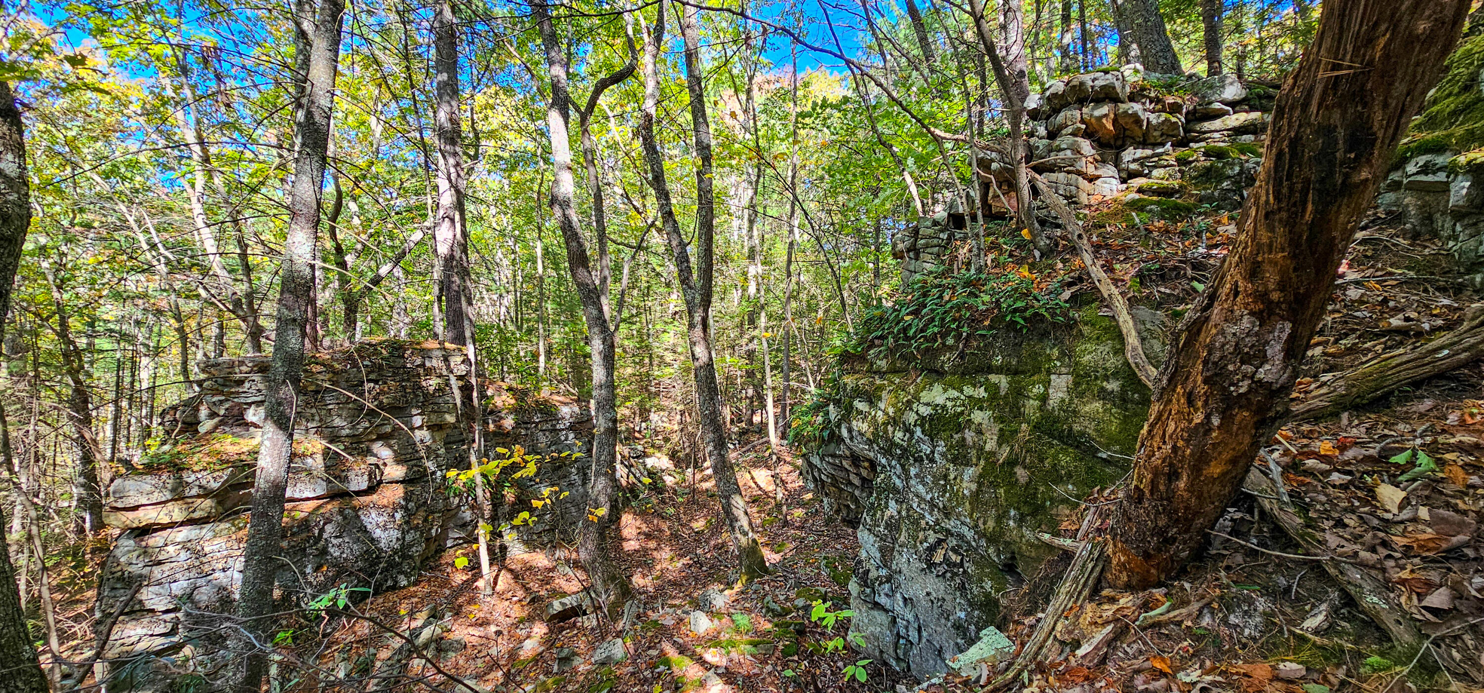 Muddy Creek Mountain Rd, Lewisburg, West Virginia image 20