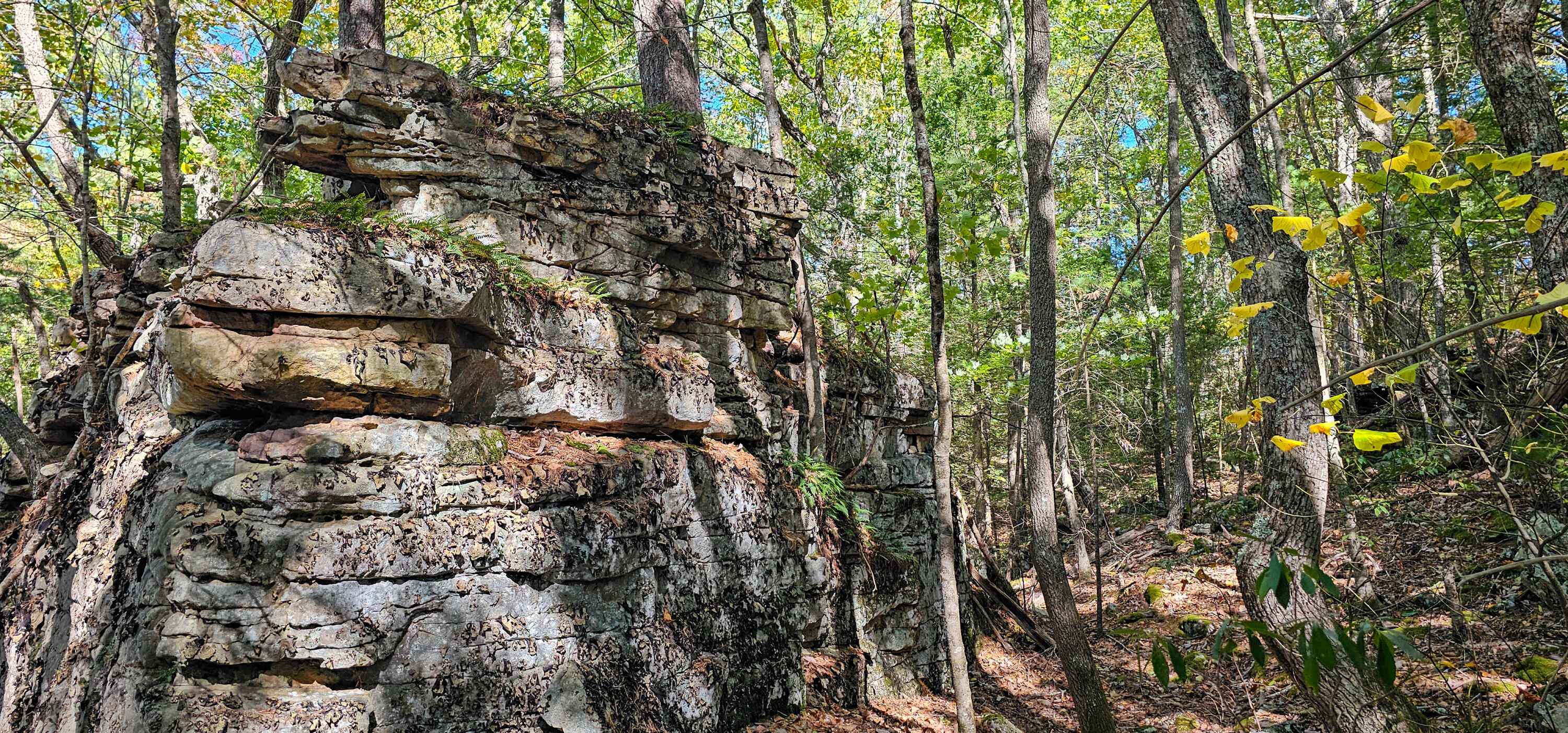 Muddy Creek Mountain Rd, Lewisburg, West Virginia image 4