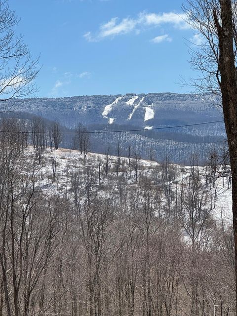 Homes For Sale - 485 Cherry Grove Rd<br/> Slatyfork, WV 26291