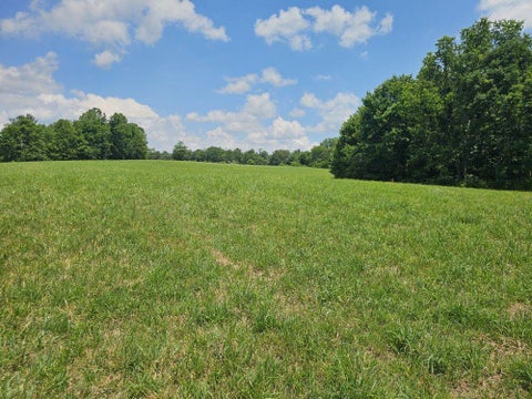 Homes For Sale - 5618 Ellison Ridge Road<br/> Flat Top, WV 25969