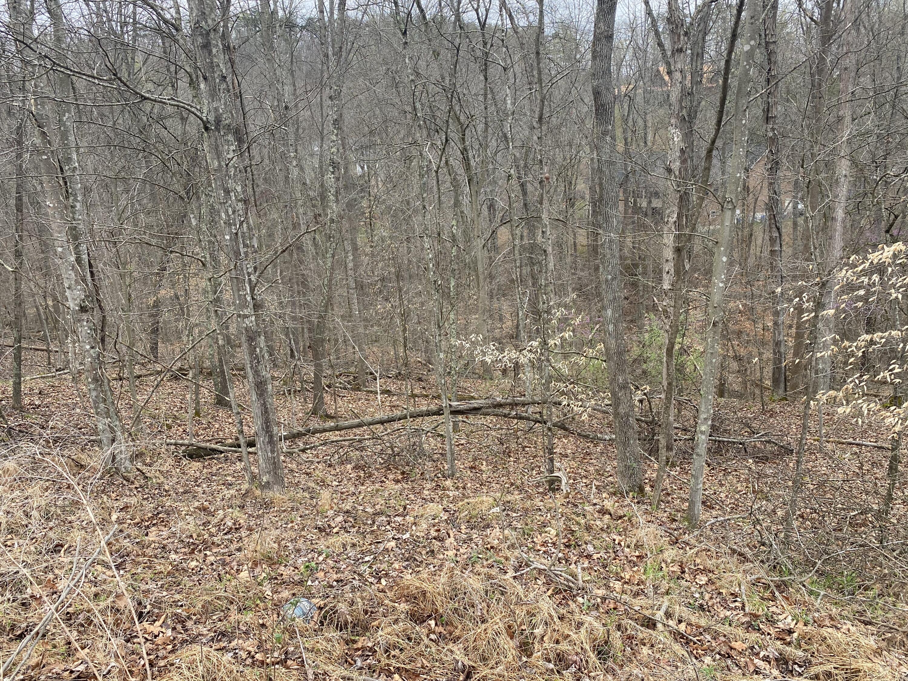 701 Tower Rd #701, Hurricane, West Virginia image 12