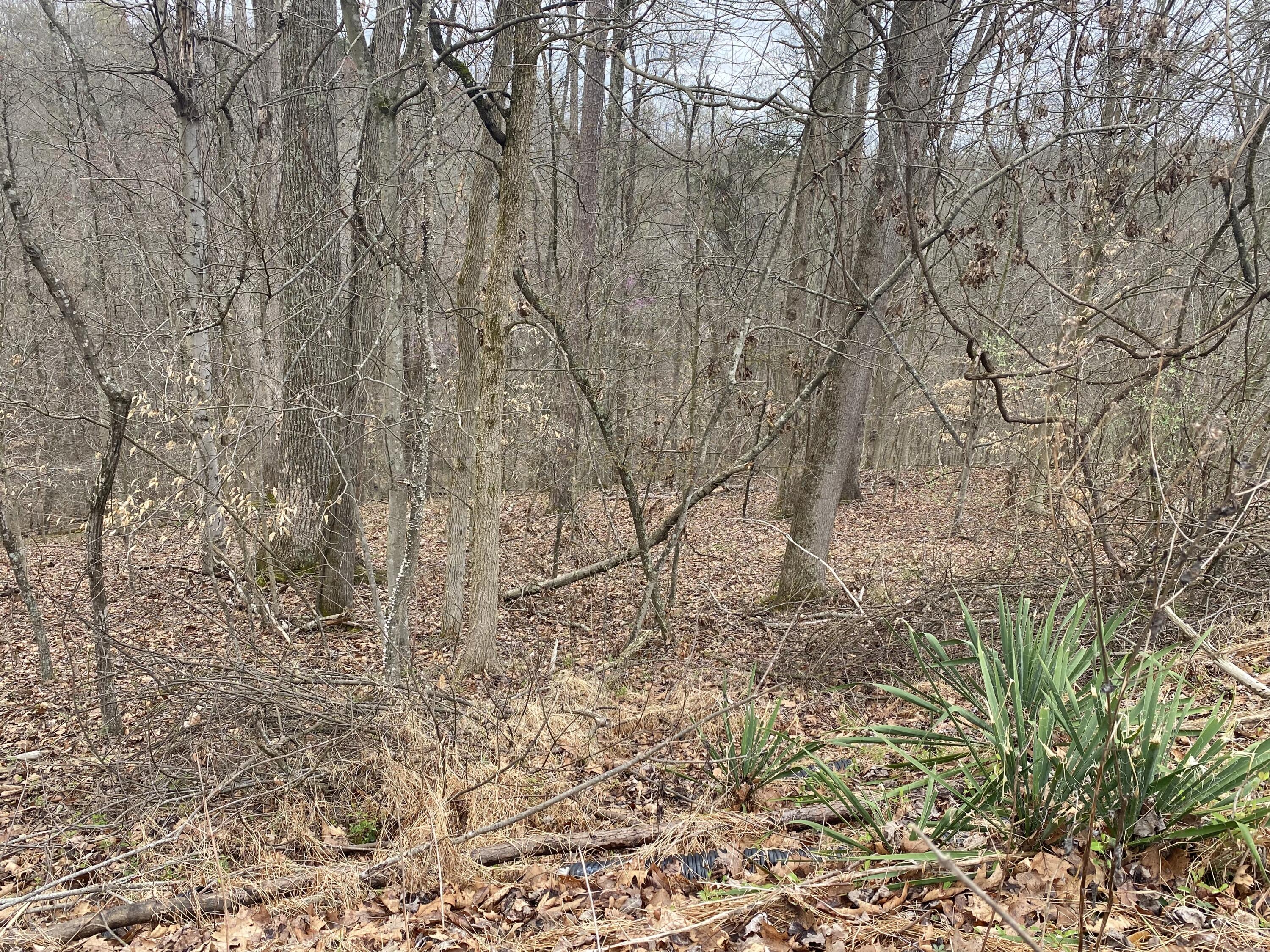 701 Tower Rd #701, Hurricane, West Virginia image 6