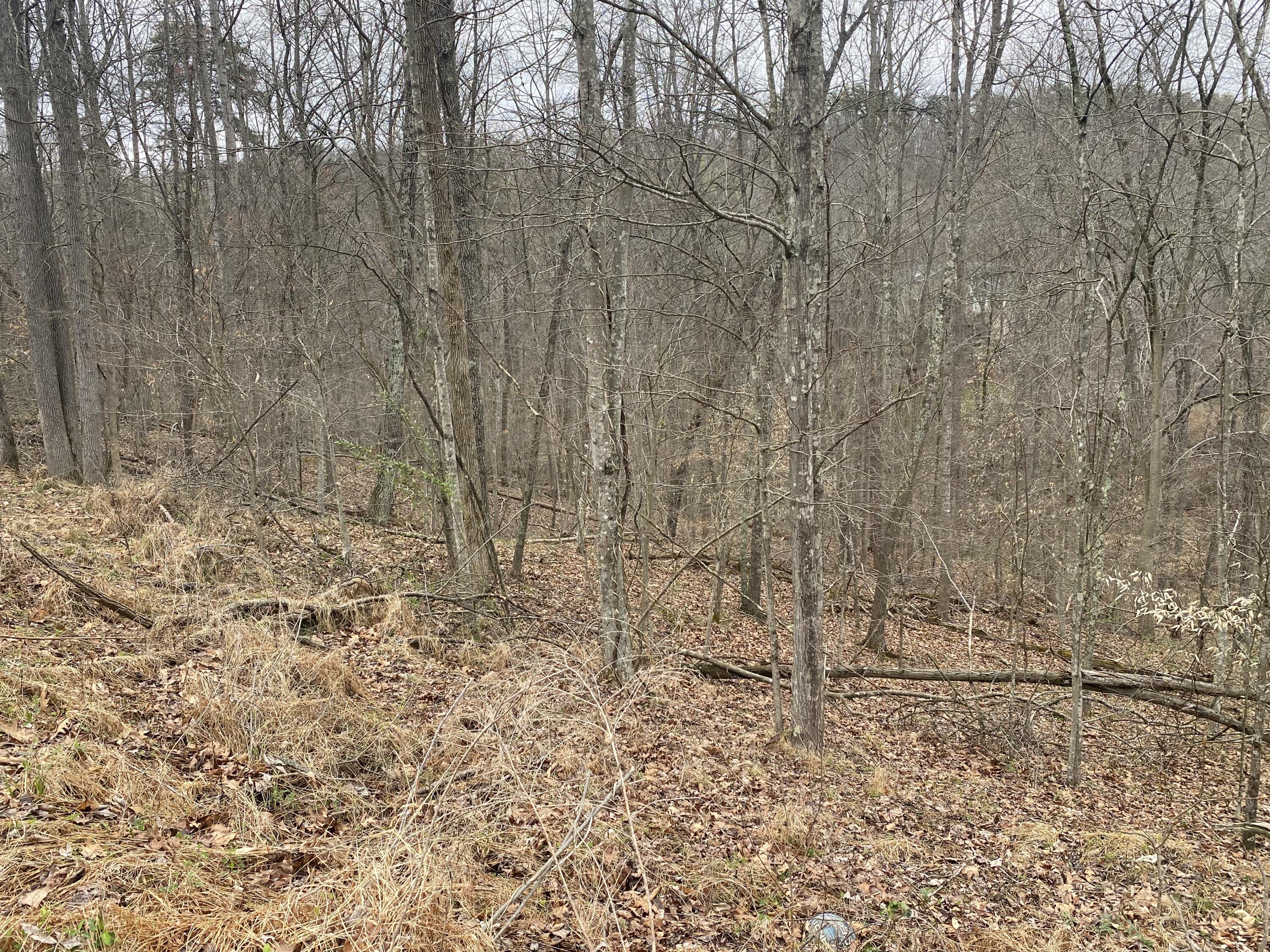 701 Tower Rd #701, Hurricane, West Virginia image 11